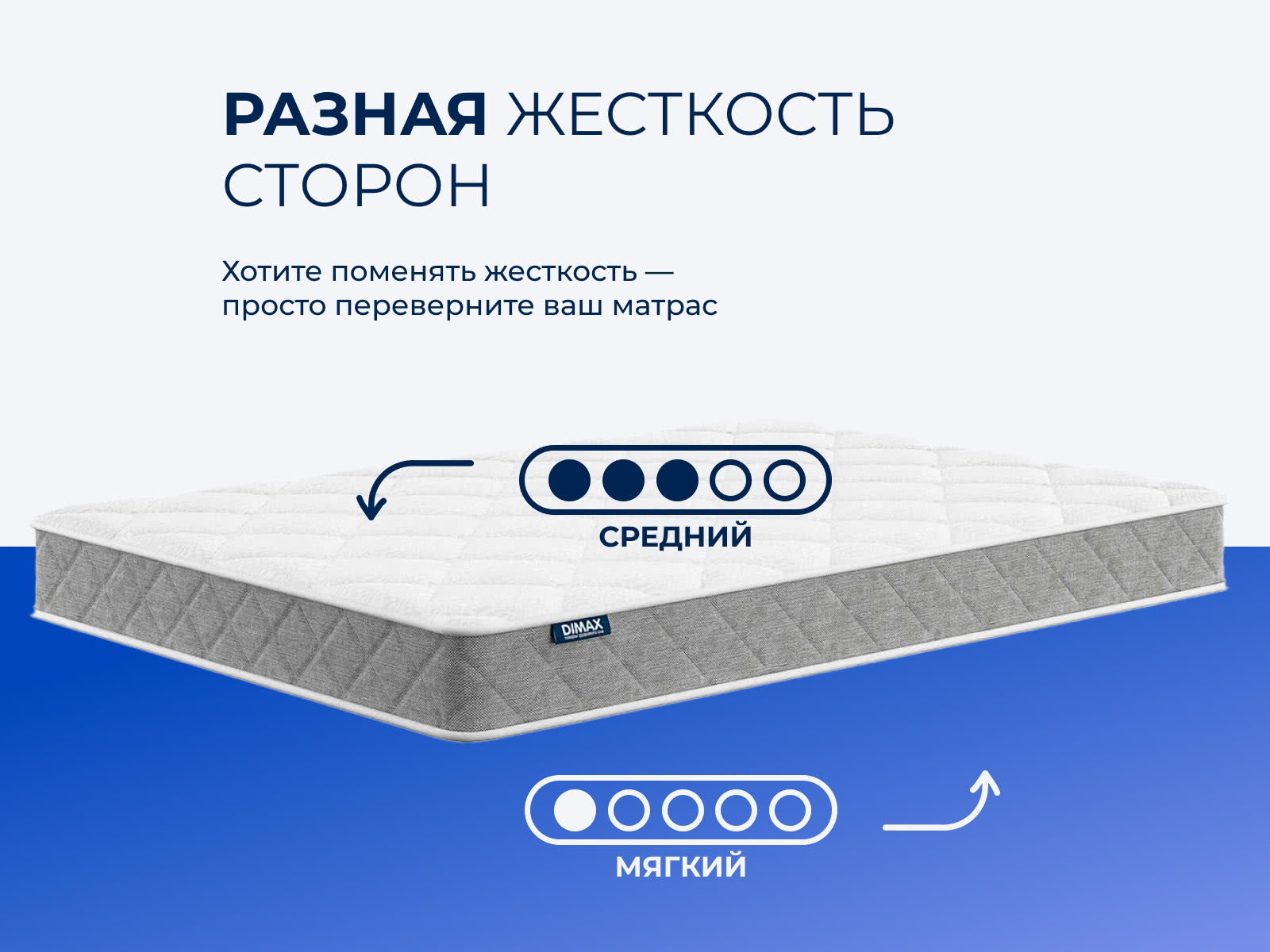 ������ Tabby Dual � ���� 3339 �. � �������� 1 ���