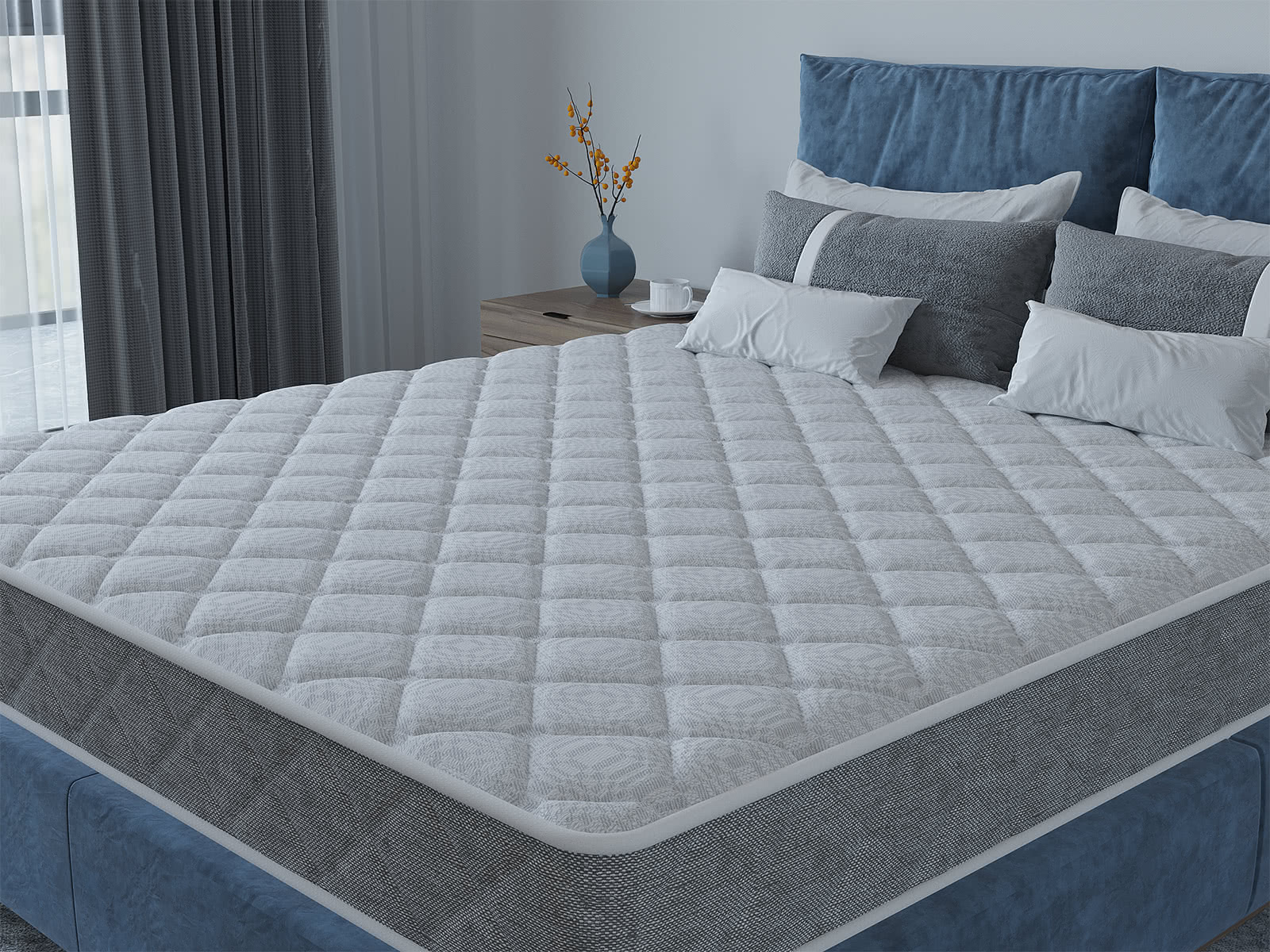 ������ Tabby Hard � ���� 3339 �. � ������ �������: 21 ��.