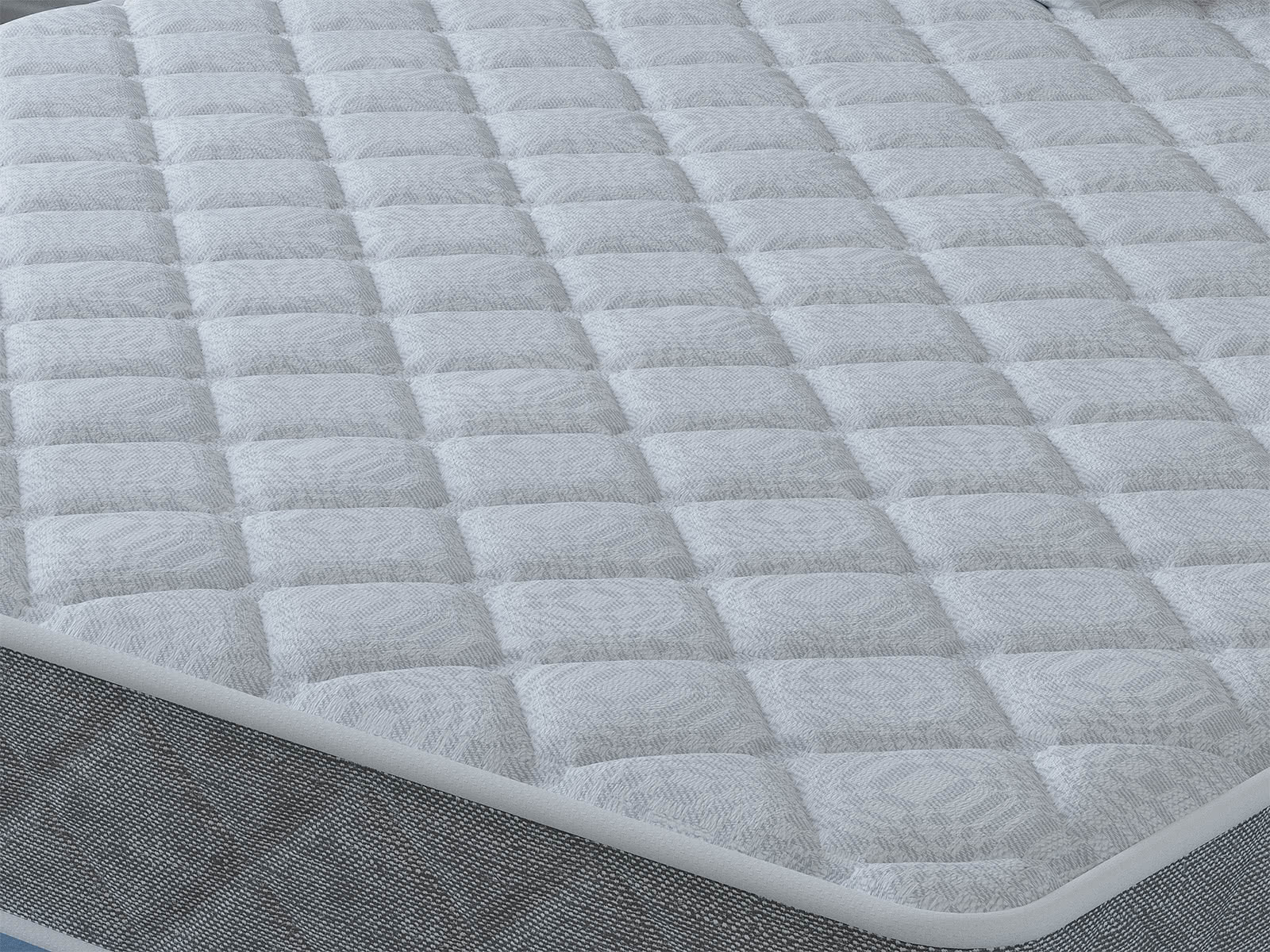 ������ Tabby Hard � �������