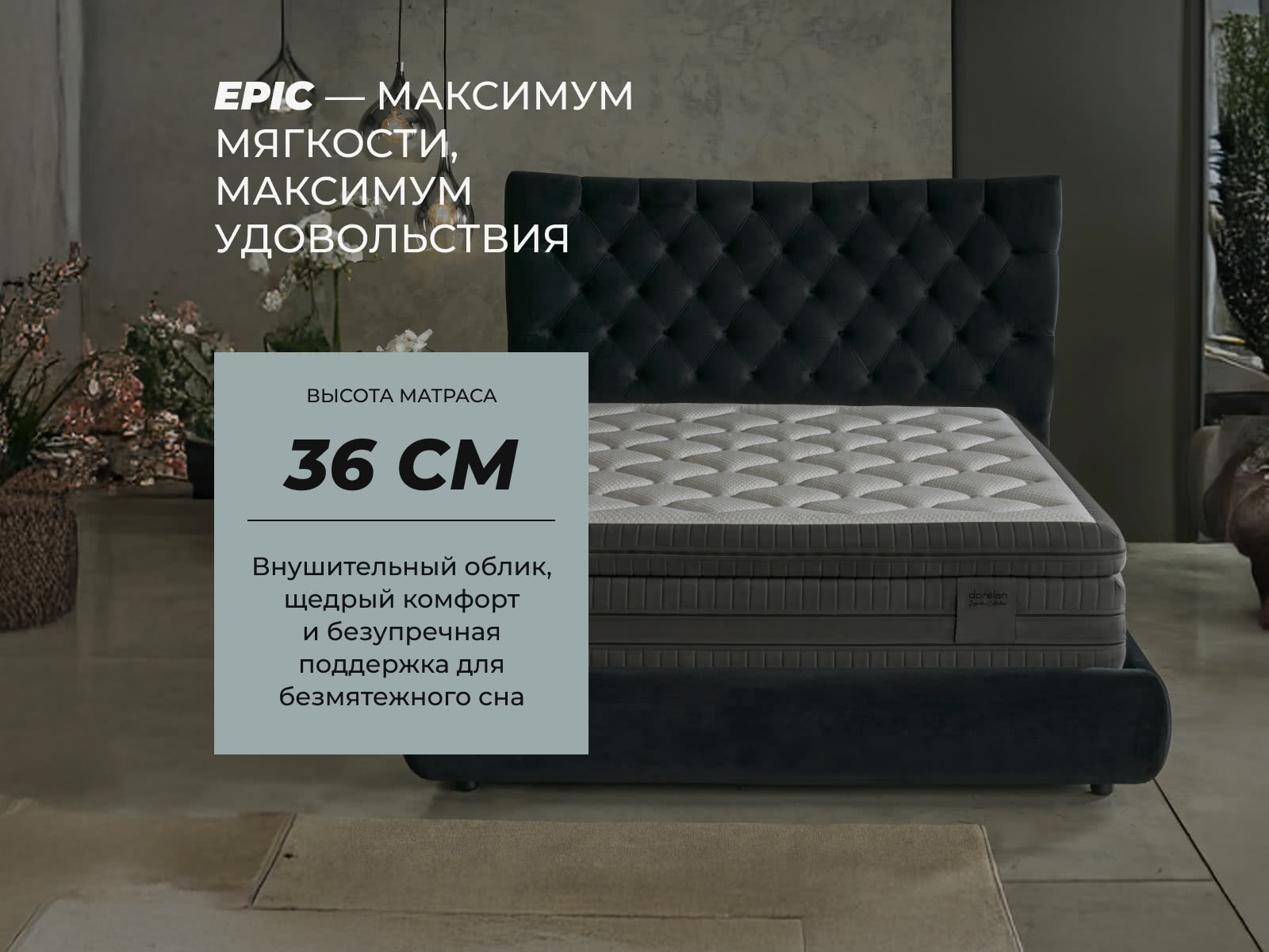 ������ Dorelan Epic � ������-������� ������ � ������ �������: 36 ��.