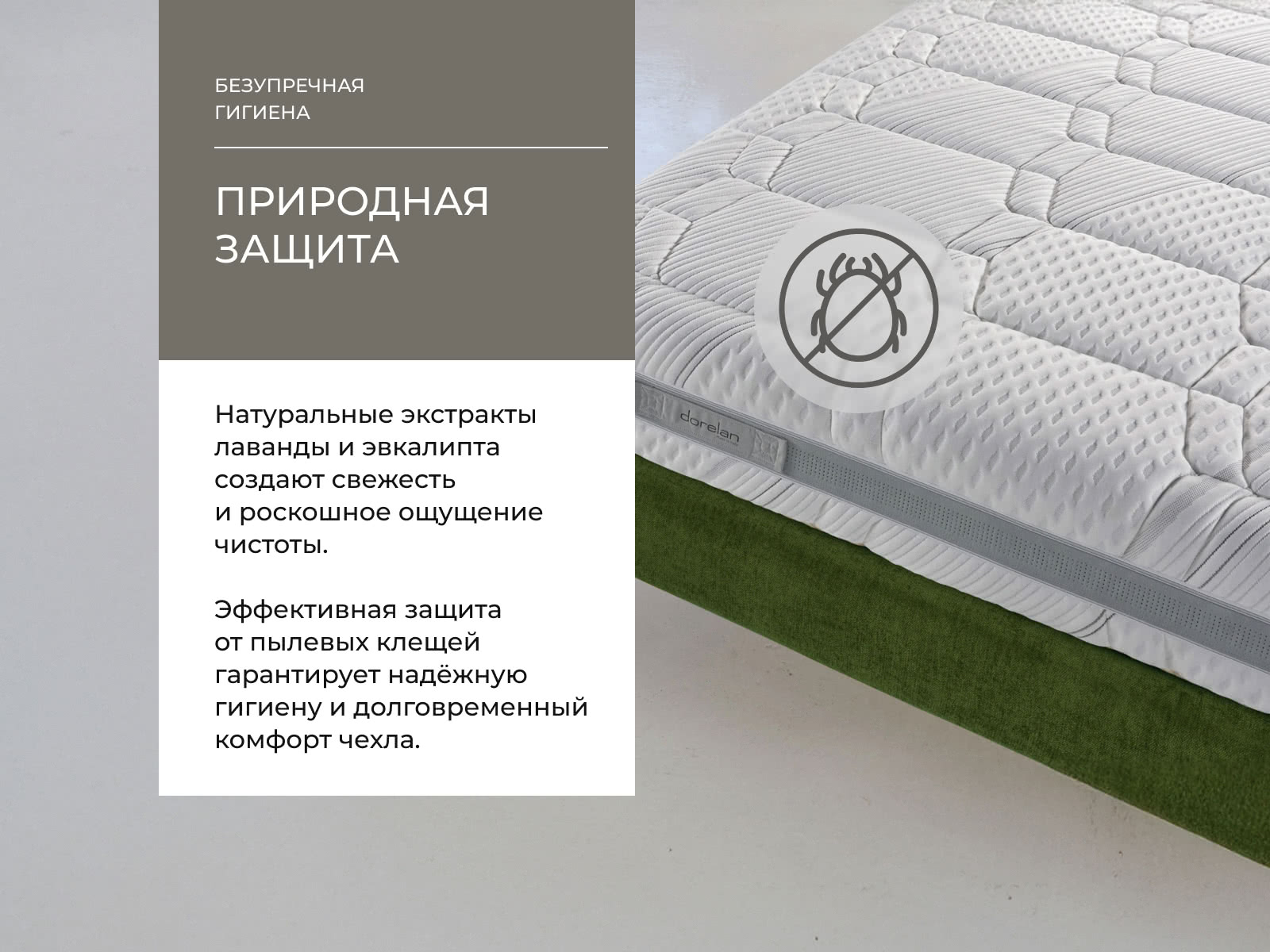 ������ Dorelan Evoke � ���� 238580 �. � �������� 5 ���