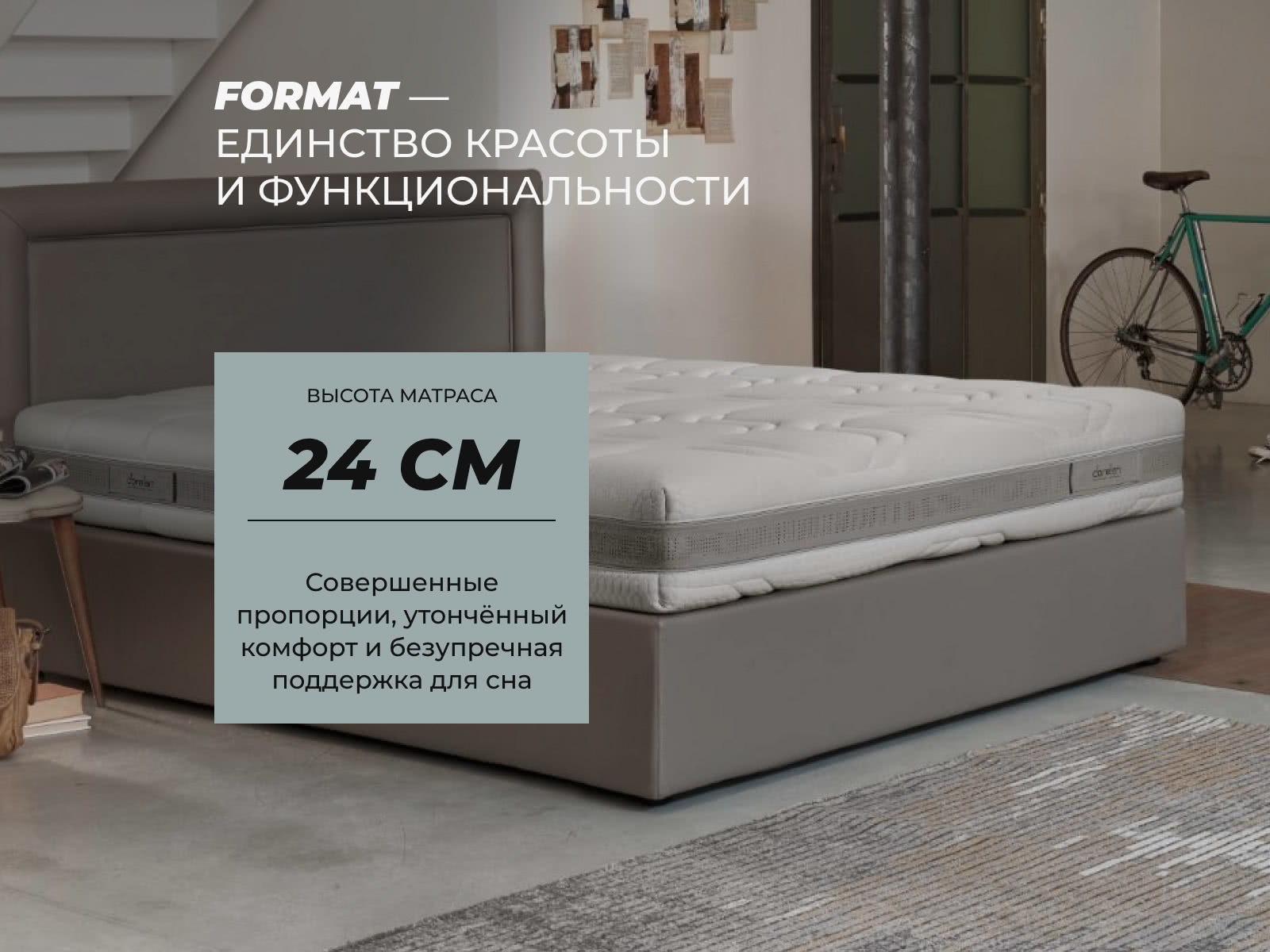 ������ Dorelan Format medium ��������