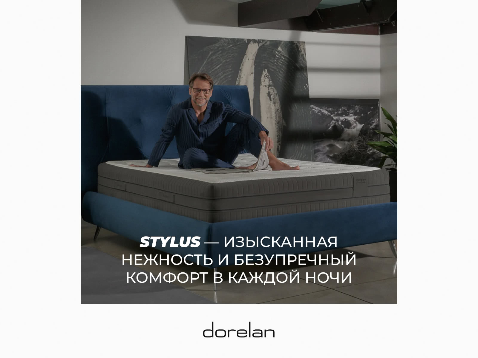 ������ Dorelan Innovative Stylus � ������ � �������� ������ � ������� � ������