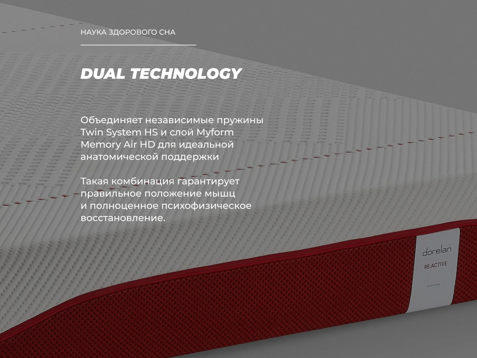 ������ Dorelan ReActive � ���� 249640 �. � ������� ����