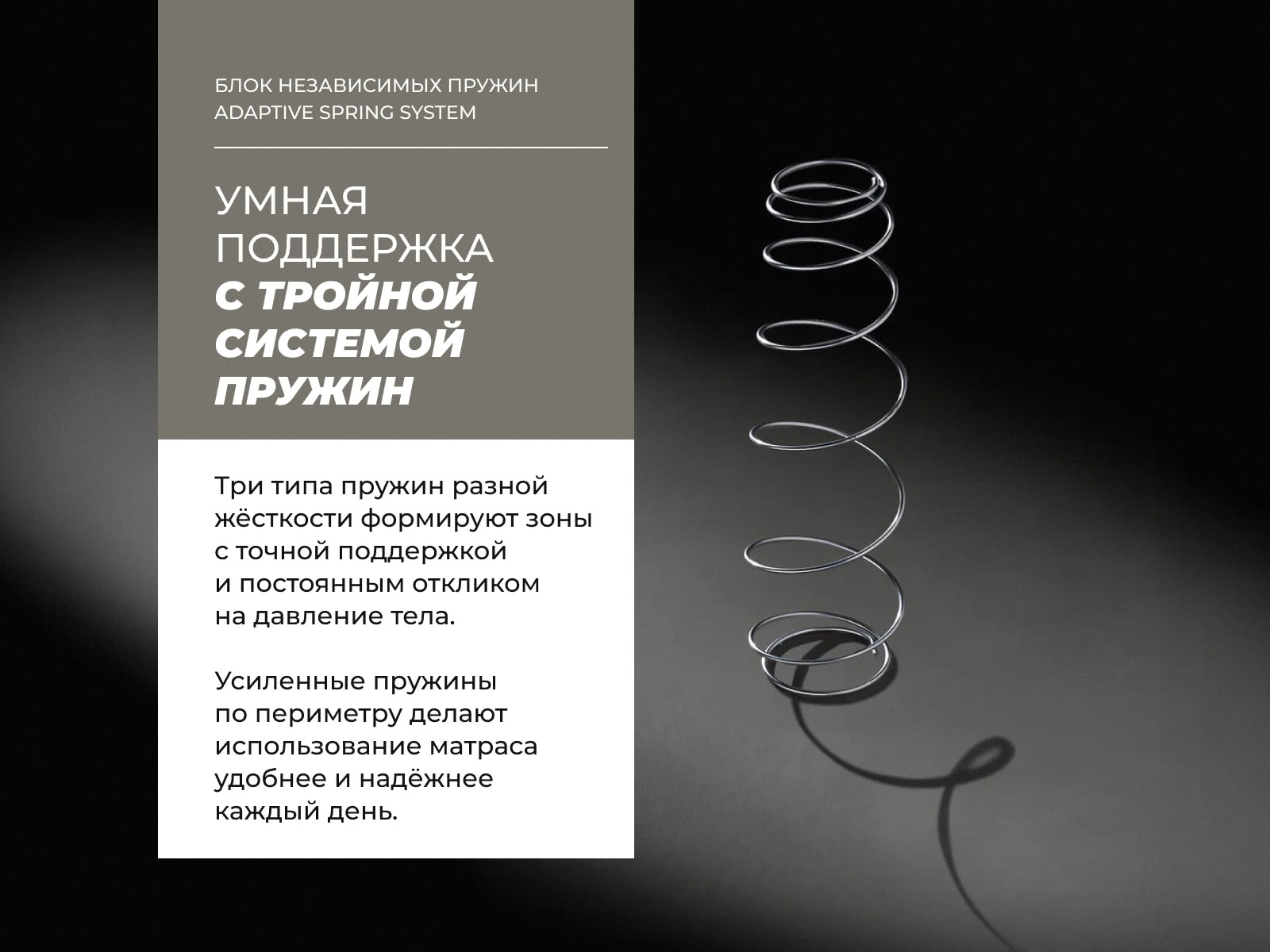 ������ Dorelan Regal � �������������� ����������� � ����������� ��������� ����