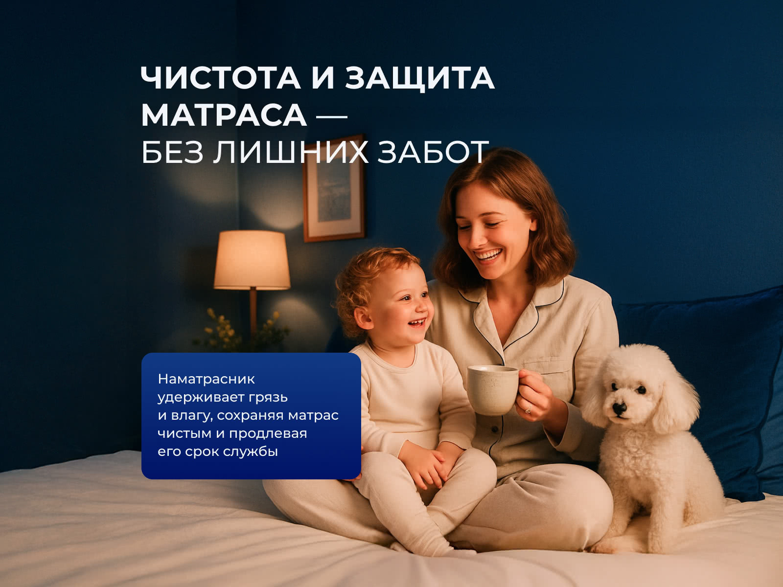 ������������ ���� ����