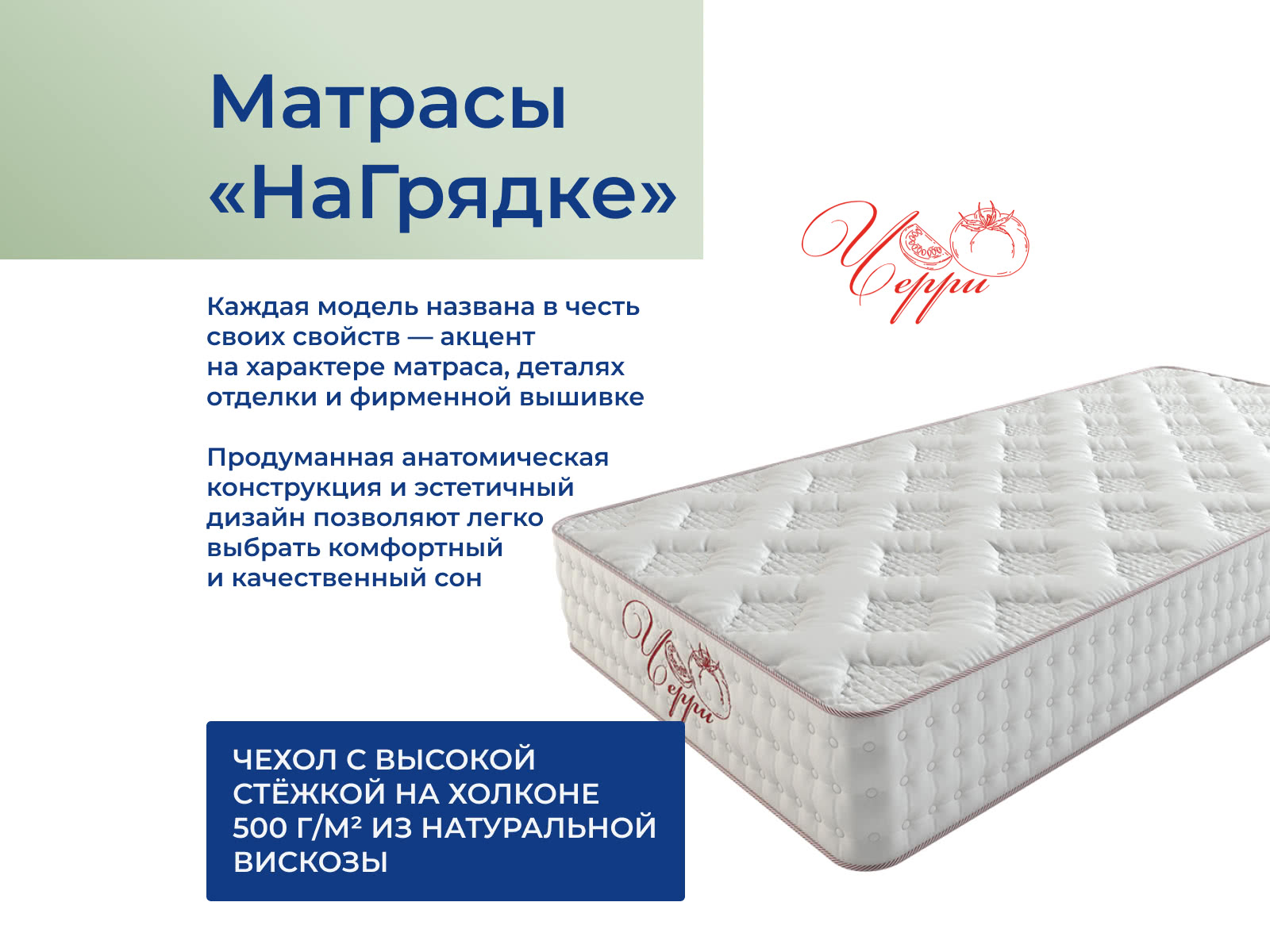 ������ Dreamline �������� ����� ��������