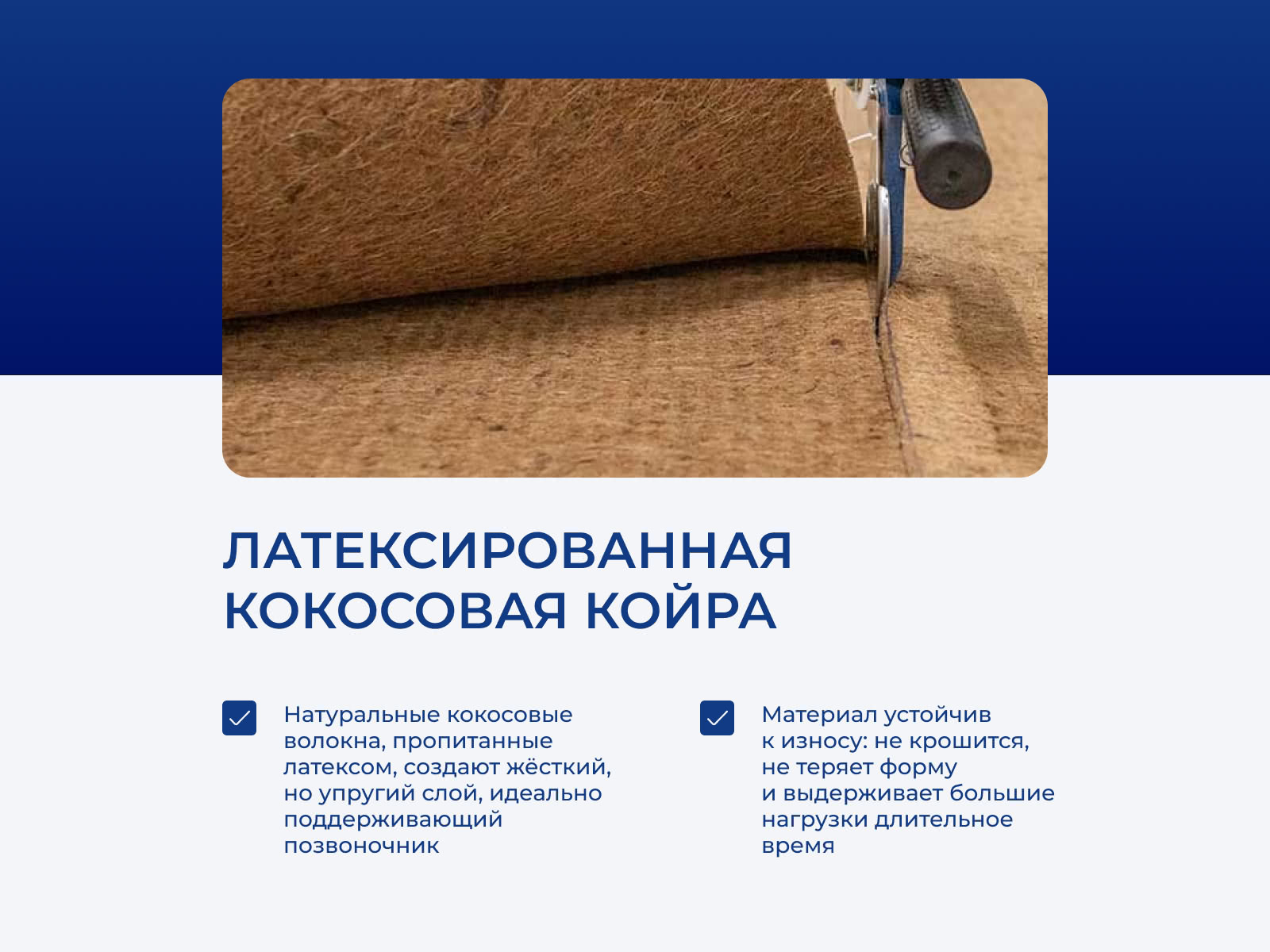 ������ DreamLine Supreme TFK � ���� 14910 �. � � ������