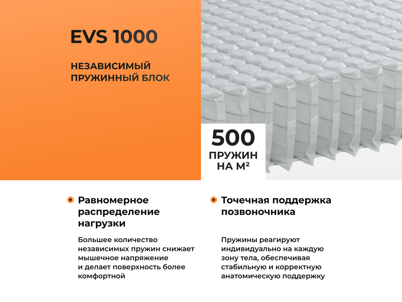 ������ Eco Light 1000M � ������-������� ������ � ����������� ��������� ����, 500 ������/�&sup2;