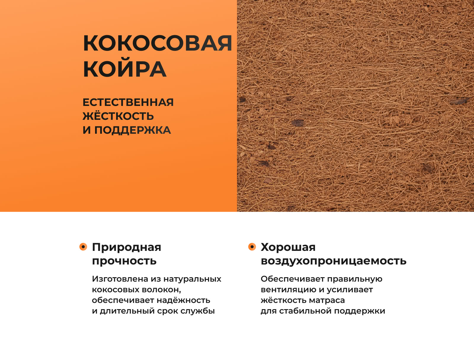 ������ Eco Optima 1000M � ���� 18370 �. � �������� 1,5 ����