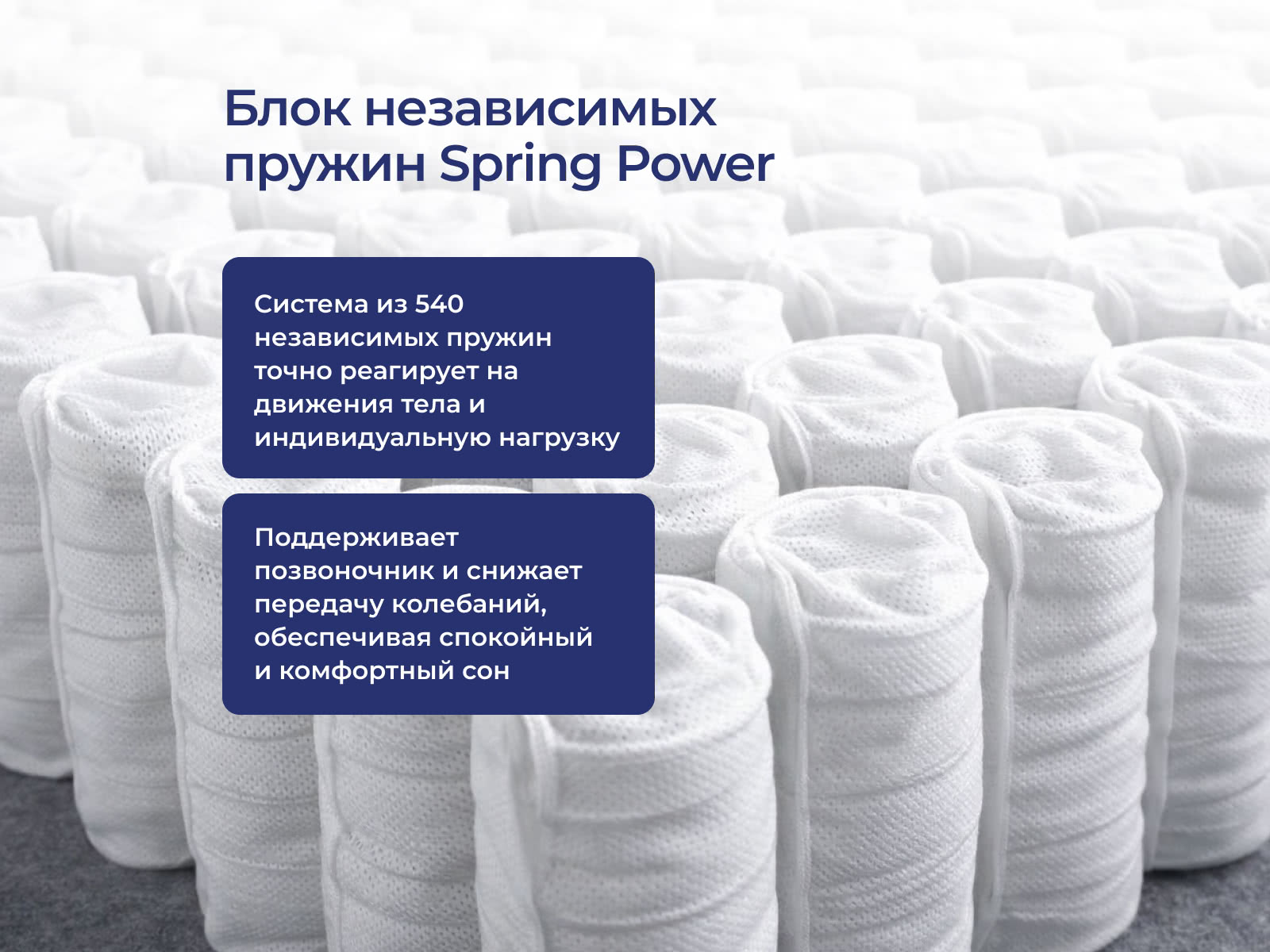 ������ Erkins Lite � � ������ � ��������� �������, ������������ ���: 140 ��.