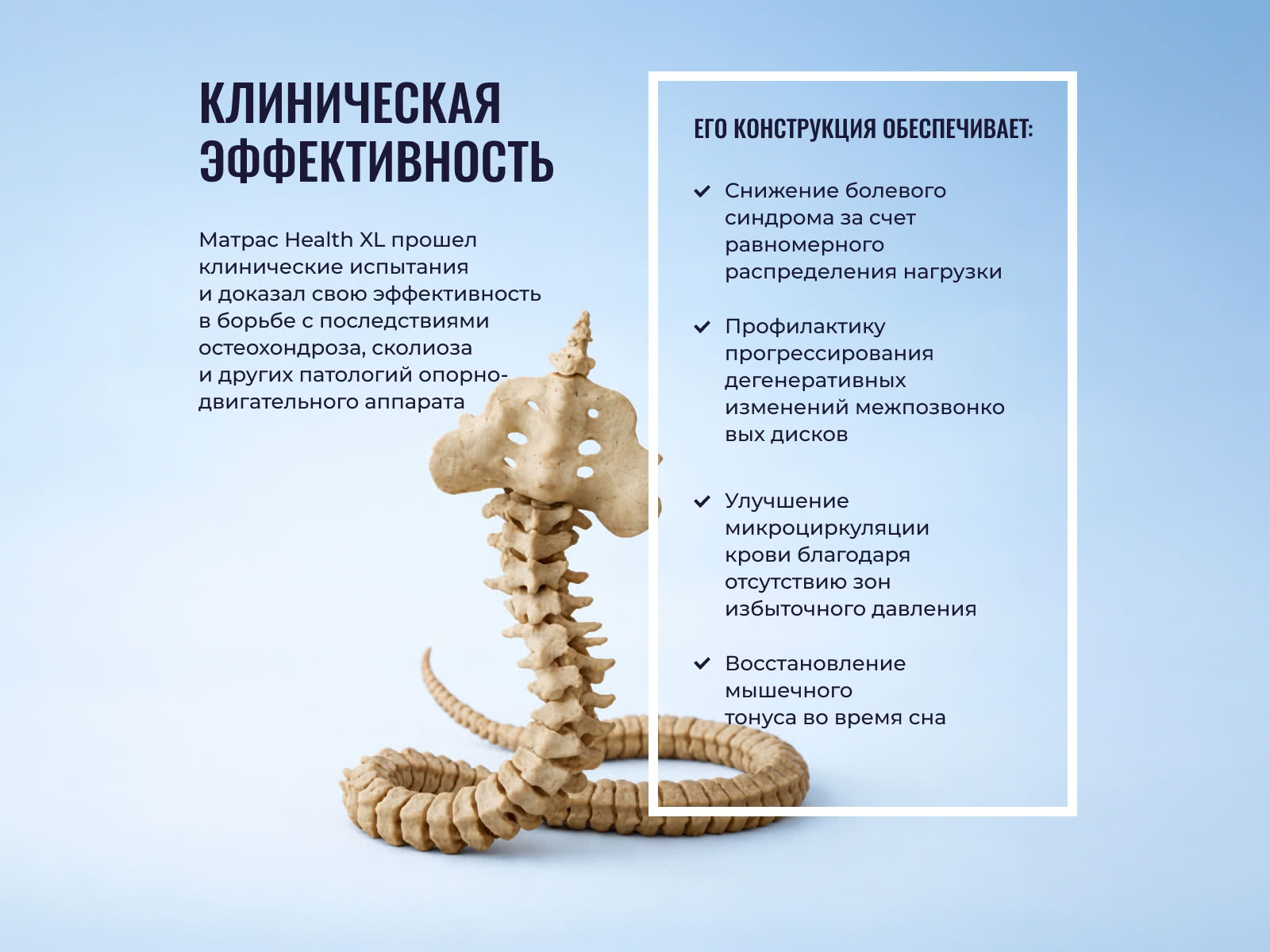 ������ Honnemed Health XL � ������� ����� � ������ �������: 20 ��.