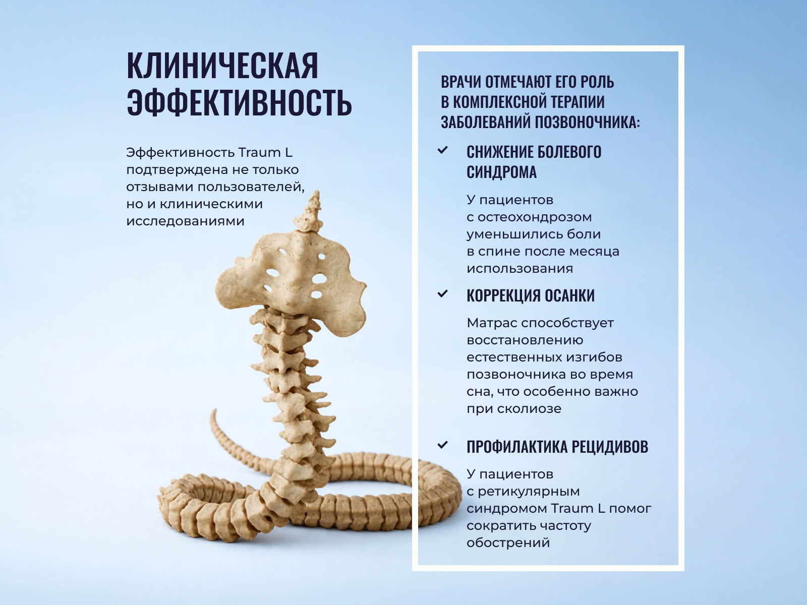 ������ Honnemed Traum L � ������ �������: 20 ��. � 2 ������