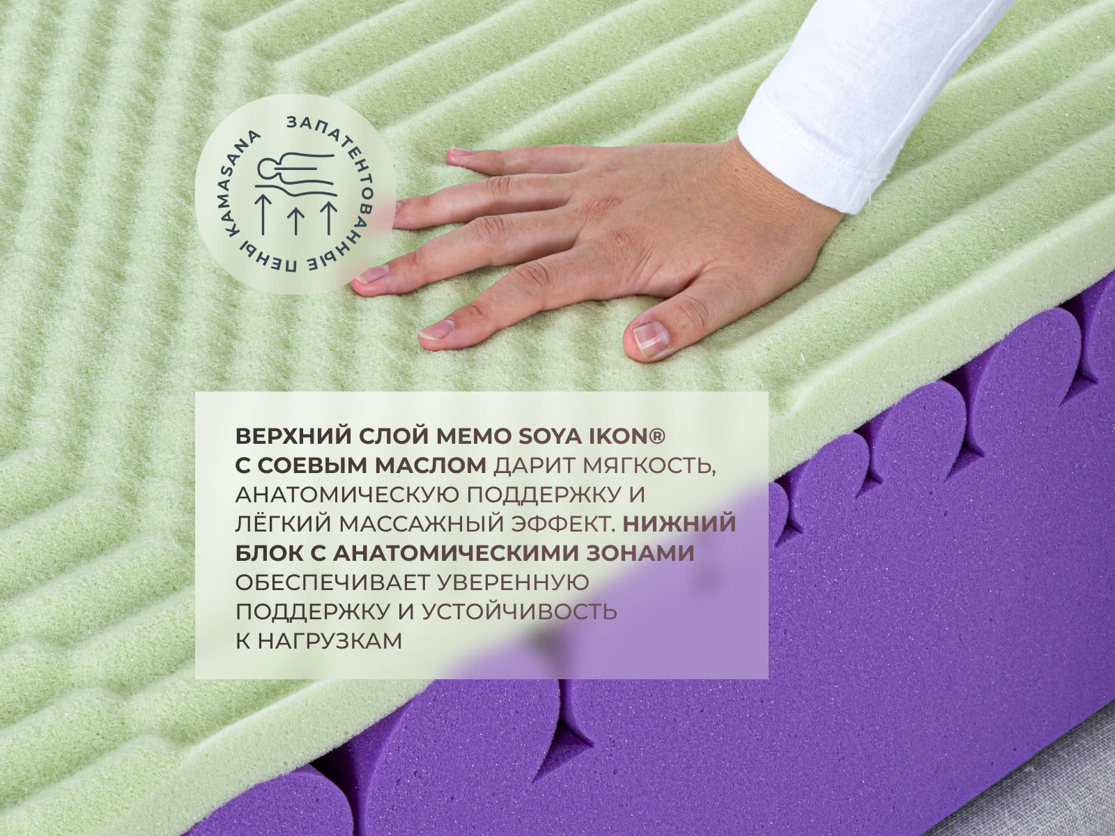 ������ Kamasana Alma (Lila) � ������ � �������� ������ � ������� �����