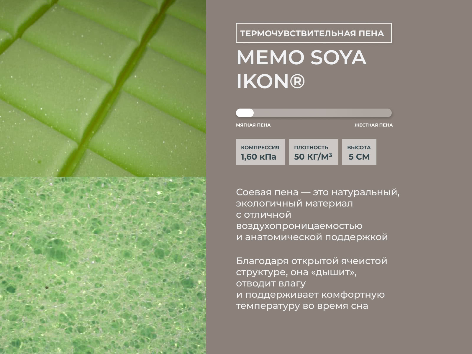 ������ Kamasana Motion � ������-������� ������ � ������� � �������