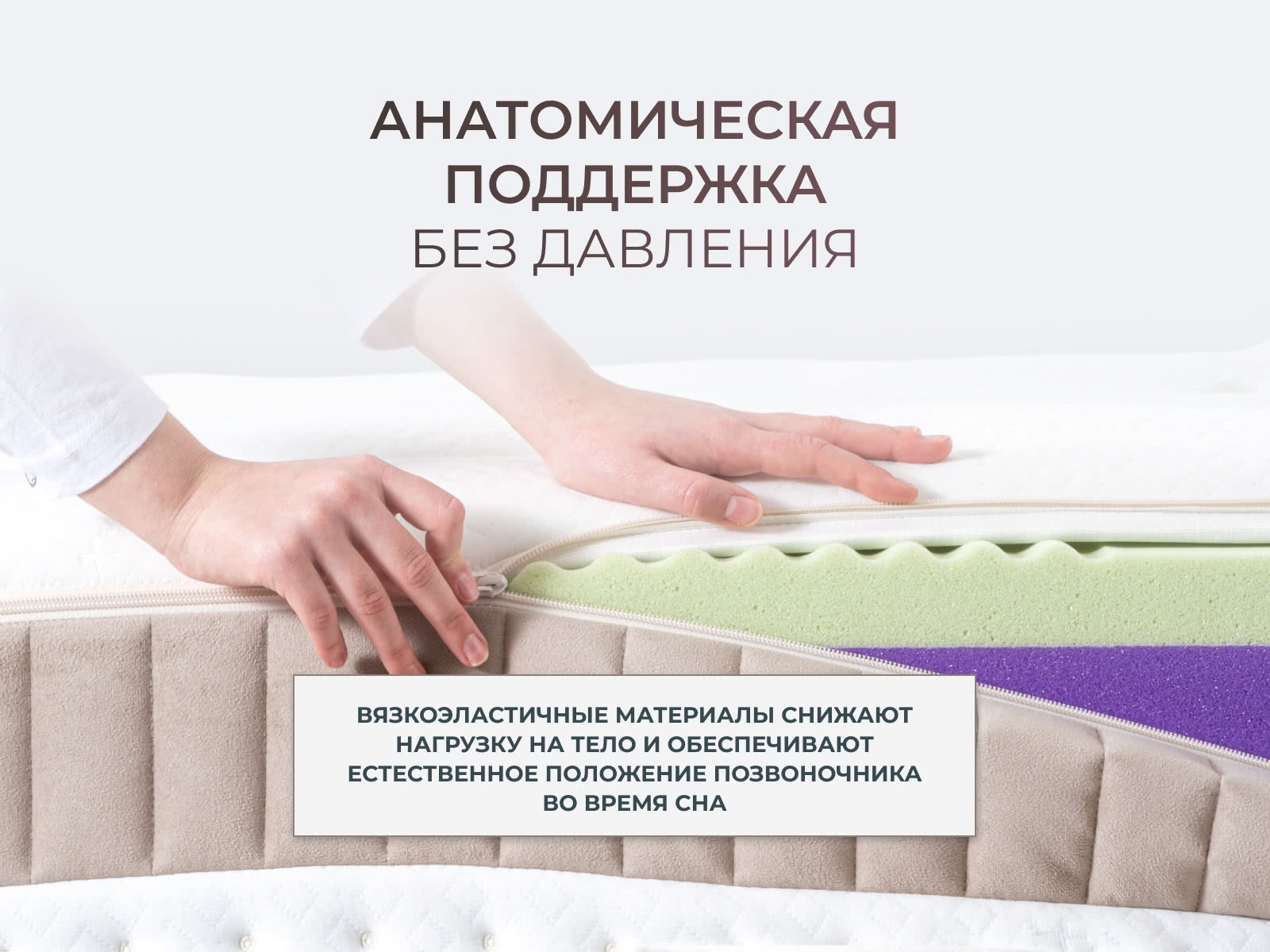 ������ Kamasana Supremo � ���� 167213 �. � ������ �������: 32 ��.