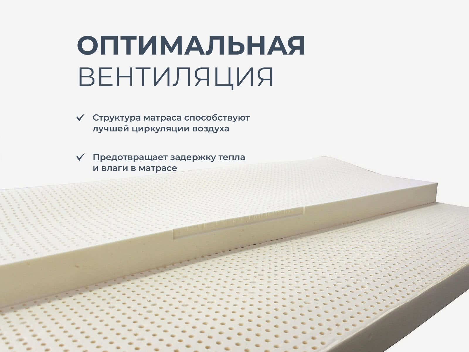 ������ Lien'a 15 �� ��������