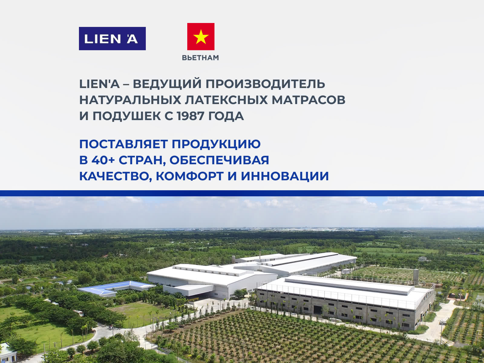 ������ Lien'a 15 �� � ����������� ������ � �������