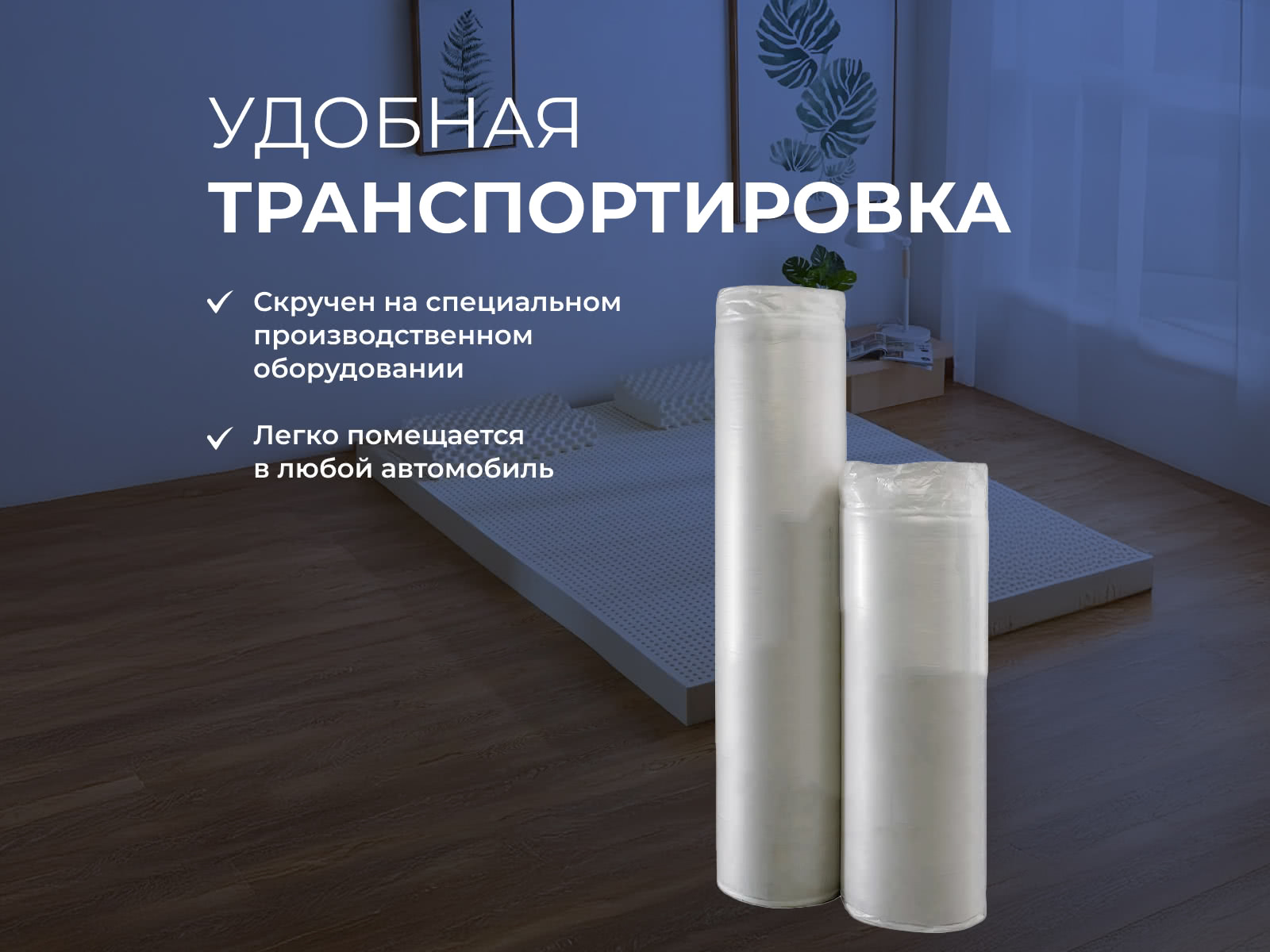 ������ Lien'a 7,5 �� � [65 x 200 ��] � � ������