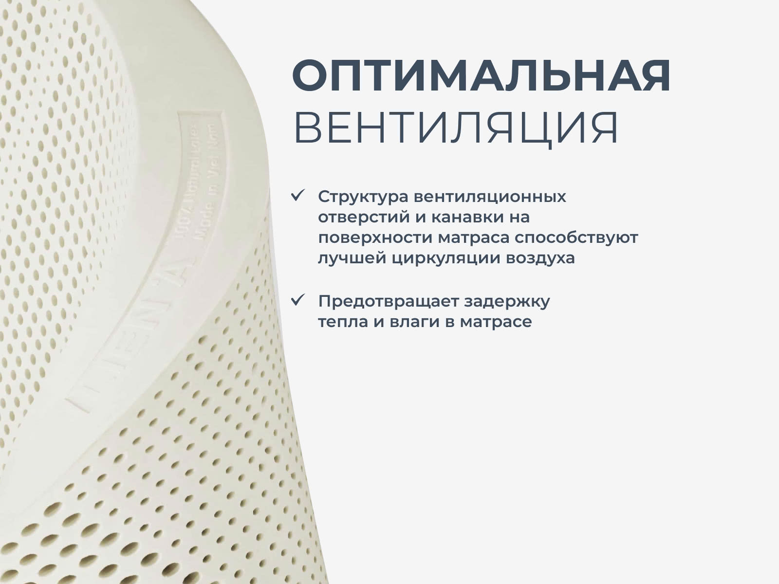 ������ Lien'a 7 ��� 5 �� � ���� 22892 �. � ��� ������, 7 ��� ���������