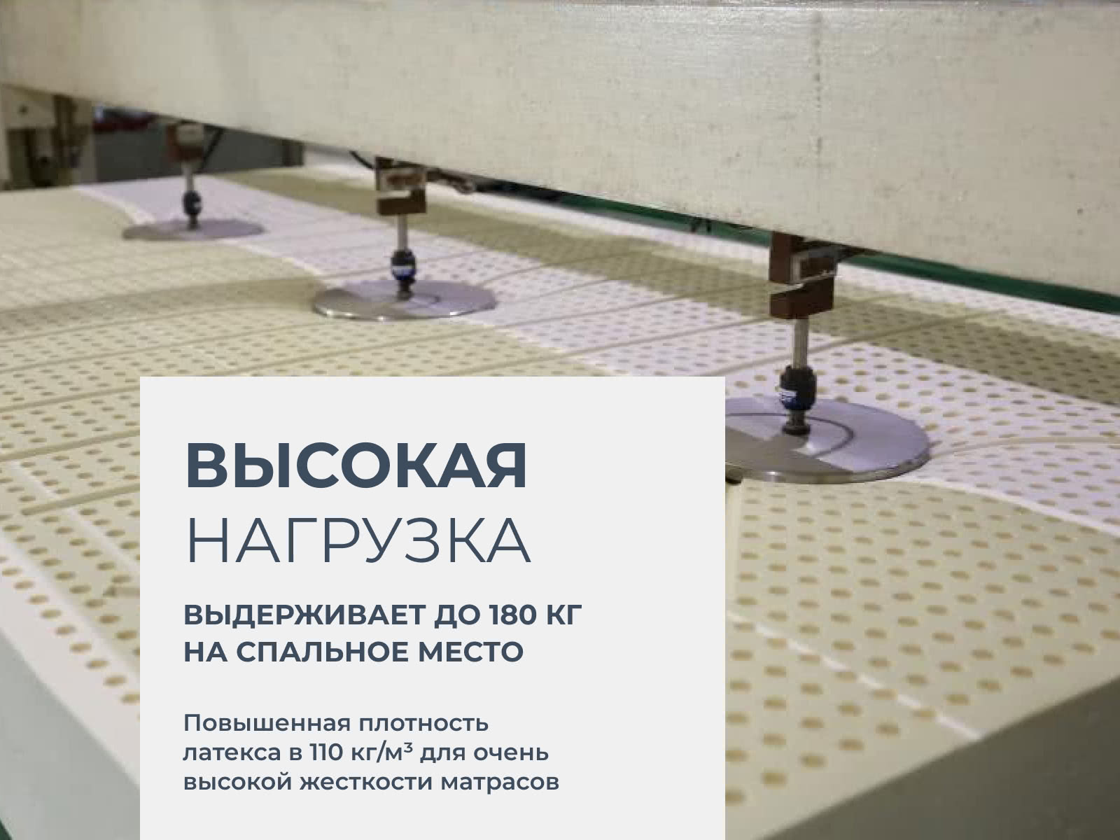 ������ Lien'a L'a Dome 15 �� � ��������� �����������, ������������ ���: 180 ��. � �������� 5 ���