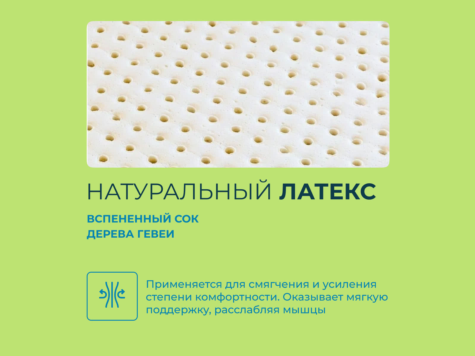 ������ Lonax ContourFlex � �������� � ���� ������! � ������ ������