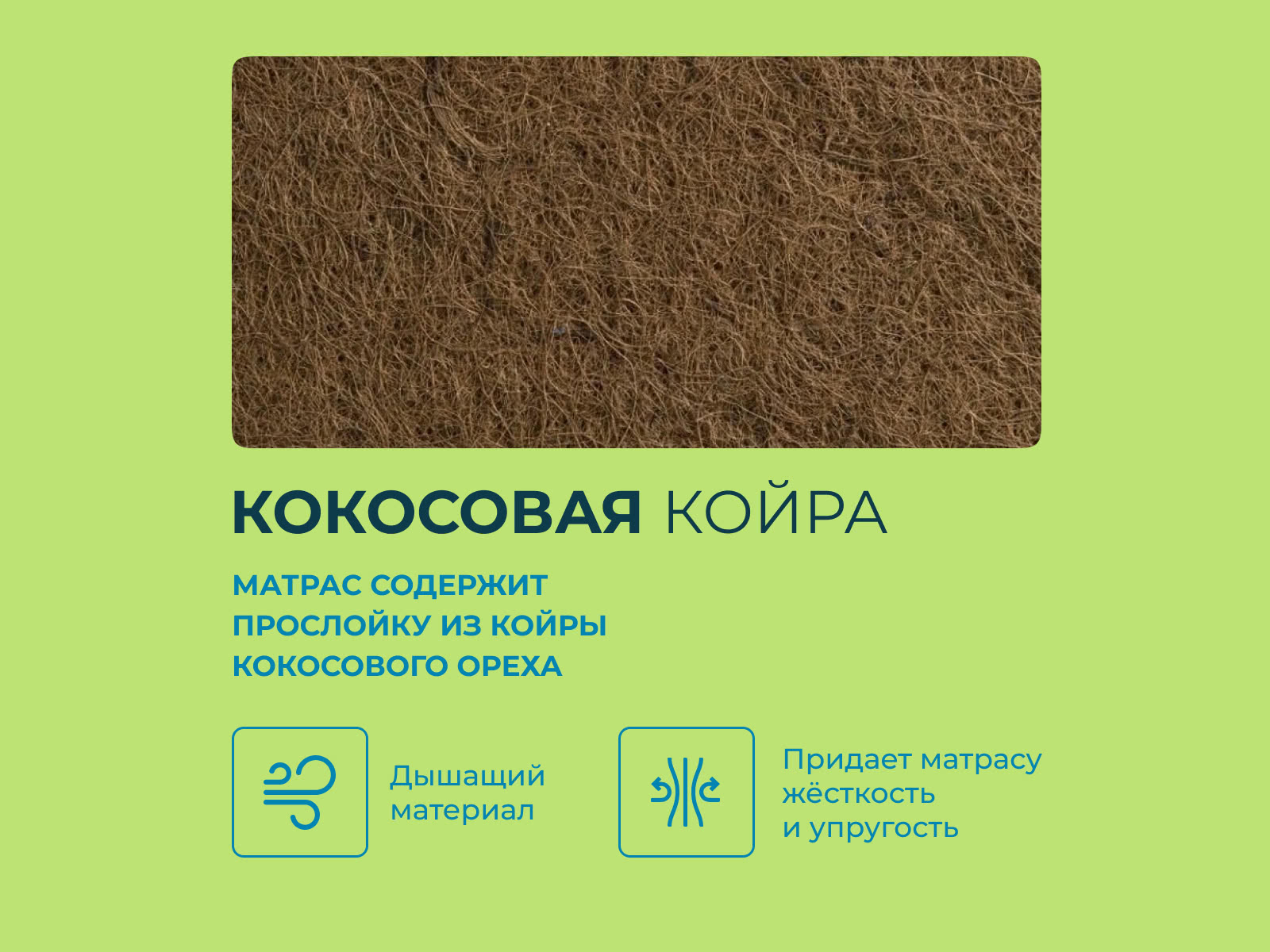 ������ Lonax Desco TFK � ������-������� ������ � 3 ������