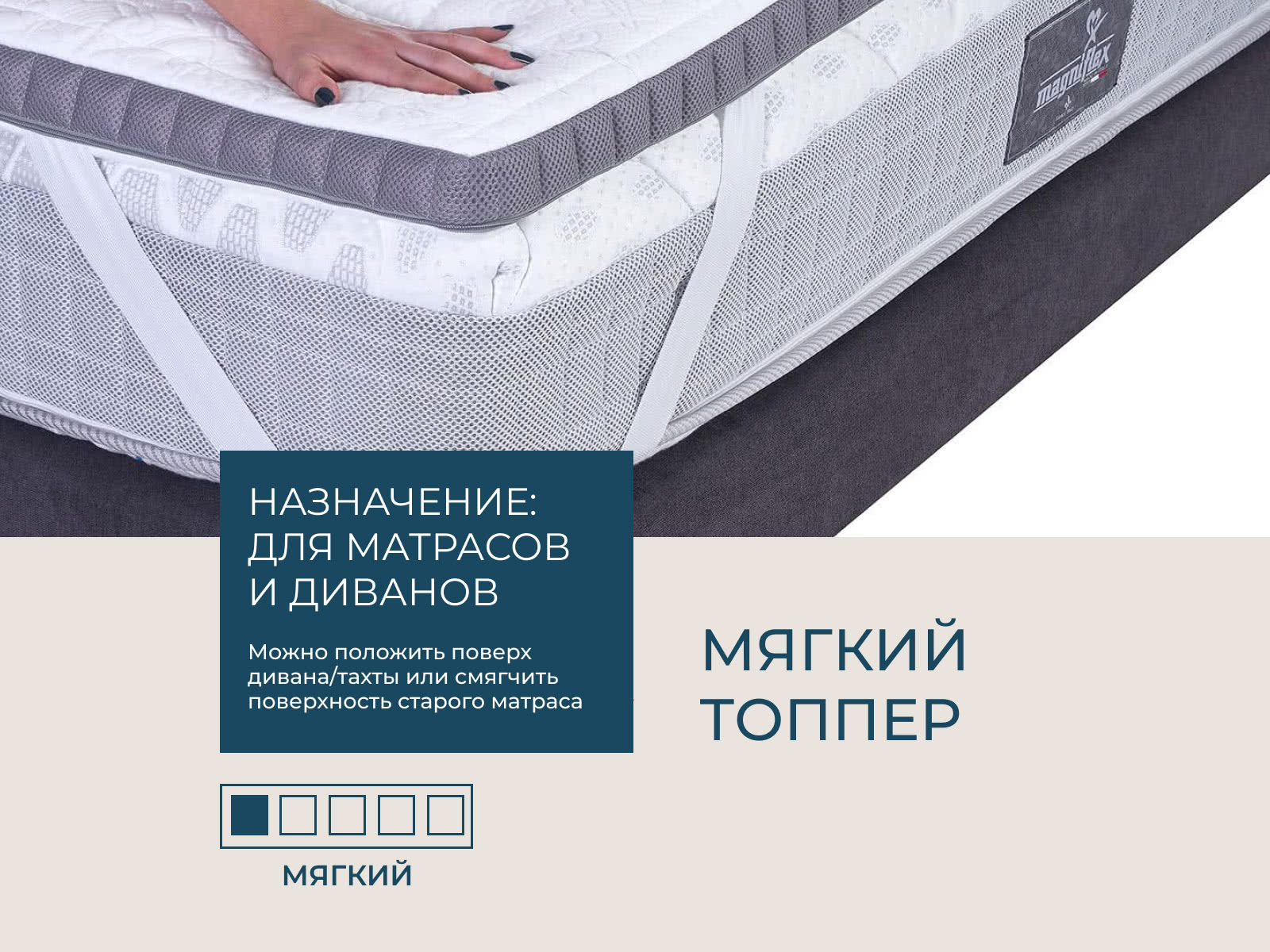 ������� �������� ���� ����