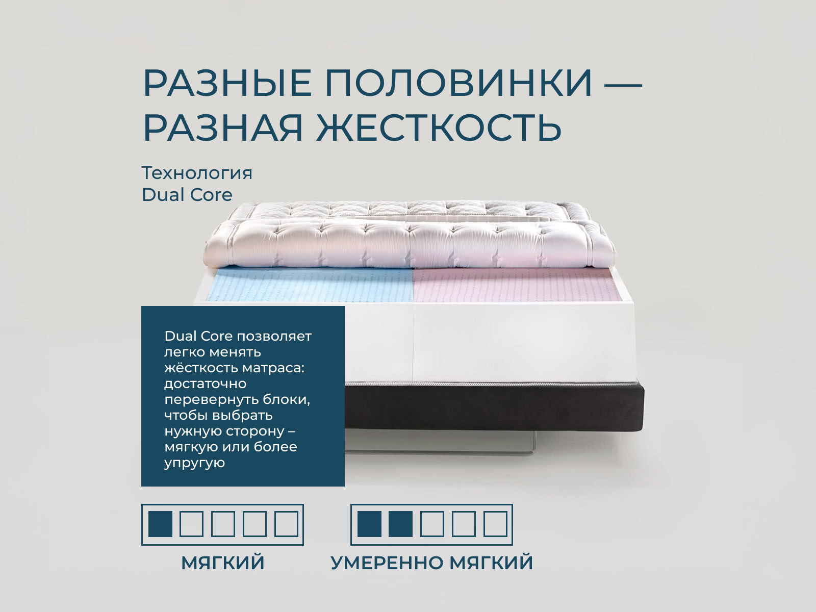 ������ Magniflex Maestro Dual 14 ��������