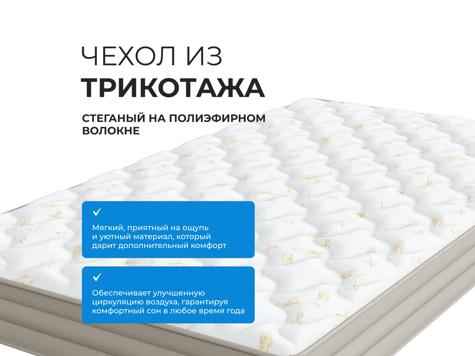 ������ Balance Practice Anatomic ��������