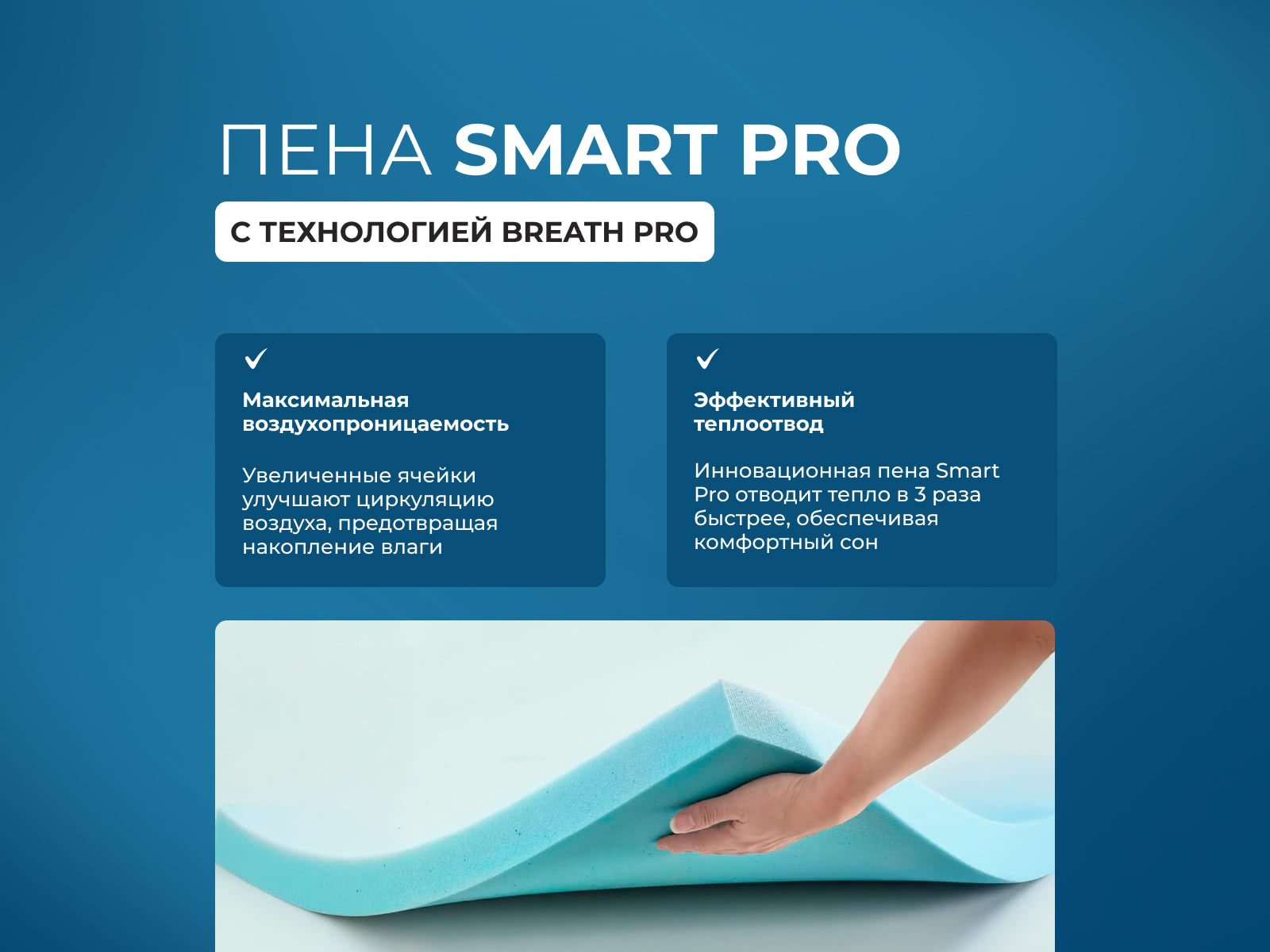 ������ Seria Pro Emily � ˸� � �������� 1,5 ����