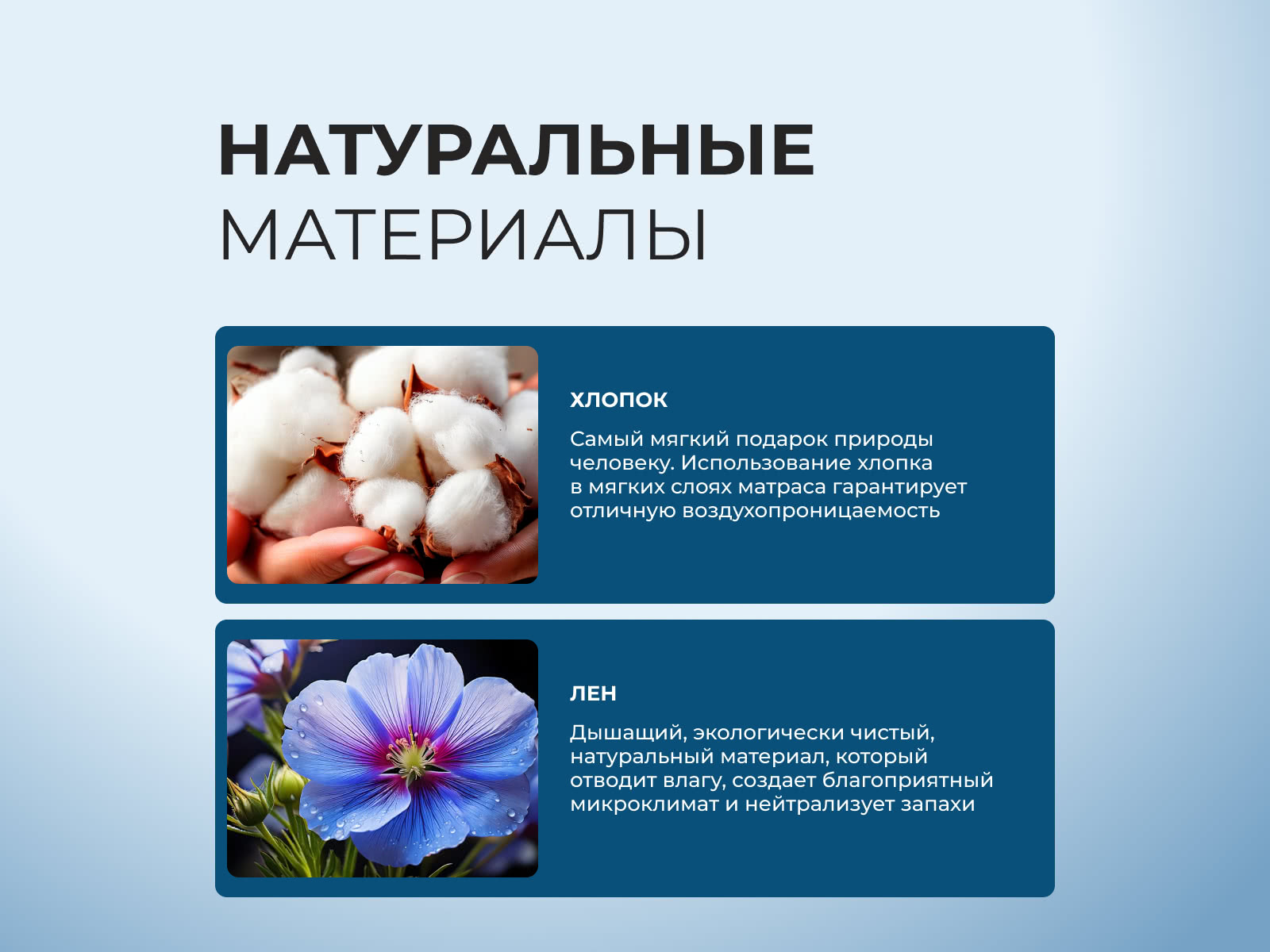 ������ Seria Pro Grace � ������ �������: 29 ��. � ��������� �������, ������������ ���: 150 ��.