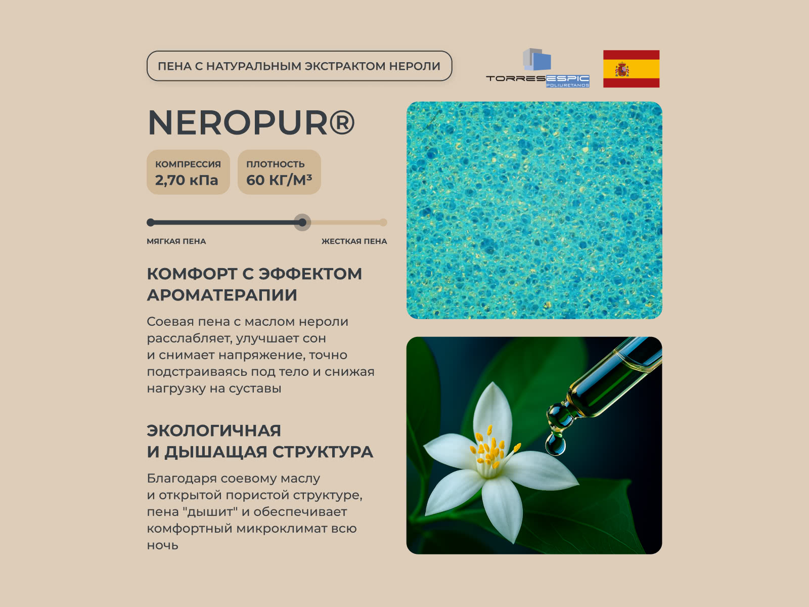 ������ Mr.Mattress Brain ��������