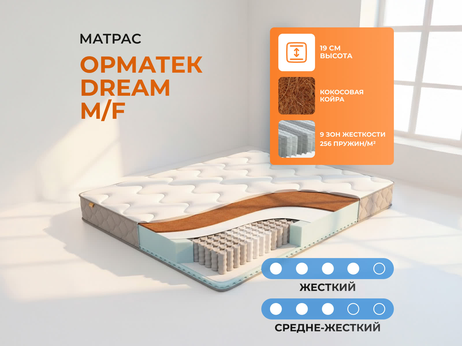 ������� Dream M/F