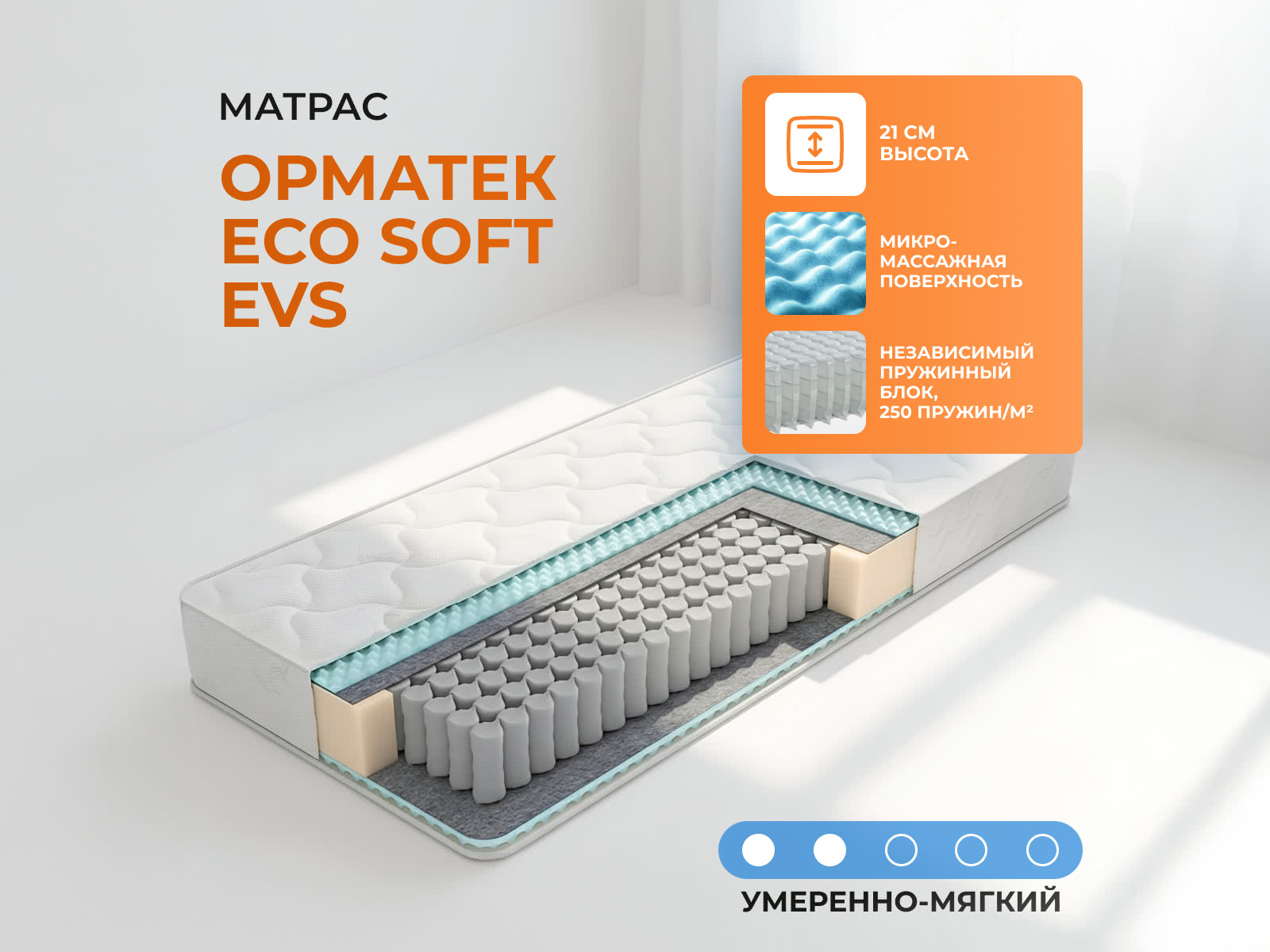 ������� Eco Soft EVS