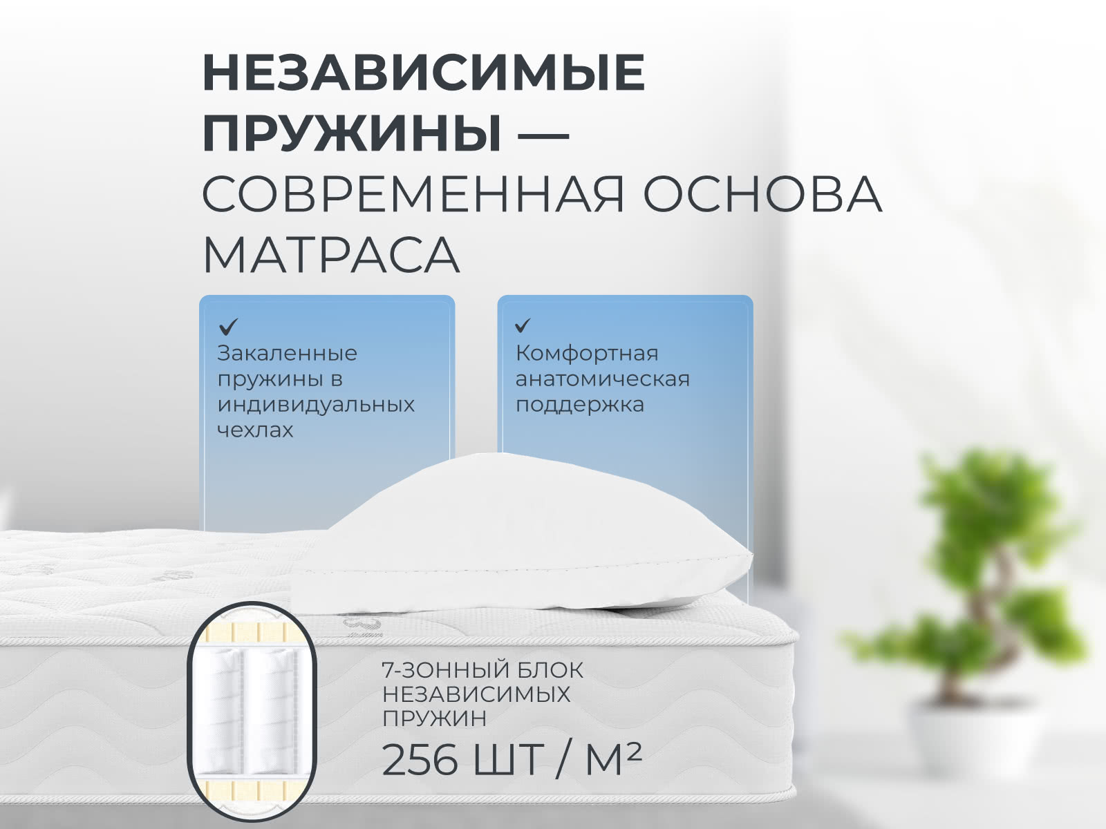 ������ ������� Elastic EVS500 � ����������� ��������� ����, 256 ������/�&sup2;, 7 ��� ��������� � ������ �������: 21 ��.