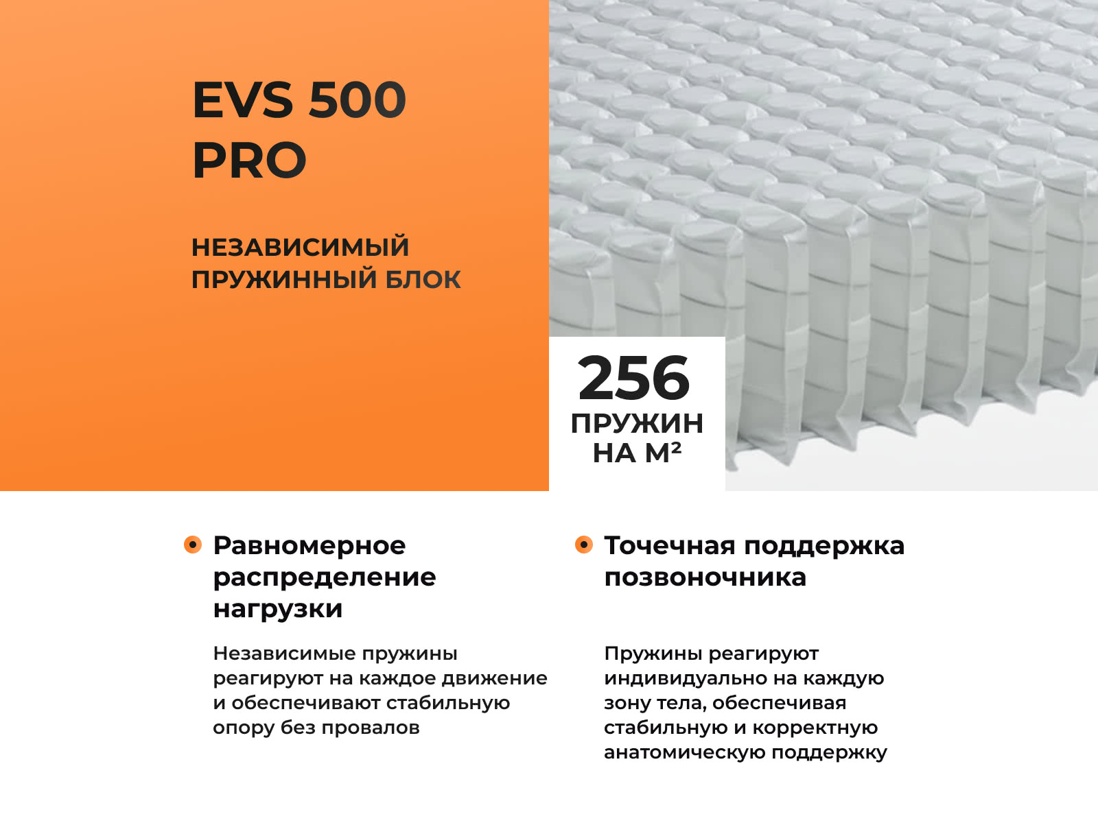 ������ ������� Florida � ���� 7190 �. � ������������ ��� ������ ������������: 120 ��.