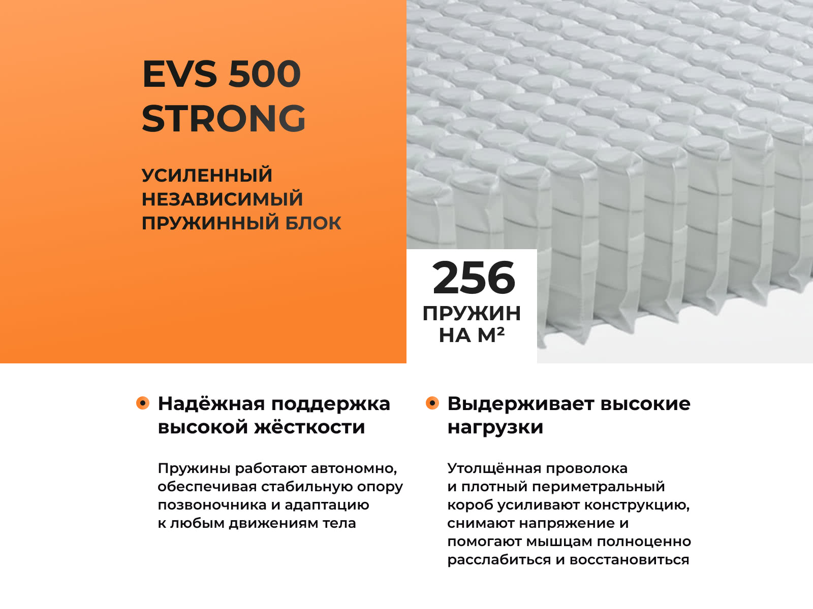 ������ ������� Optima M � ����������� ��������� ����, 256 ������/�&sup2; � ������ �������: 22 ��.