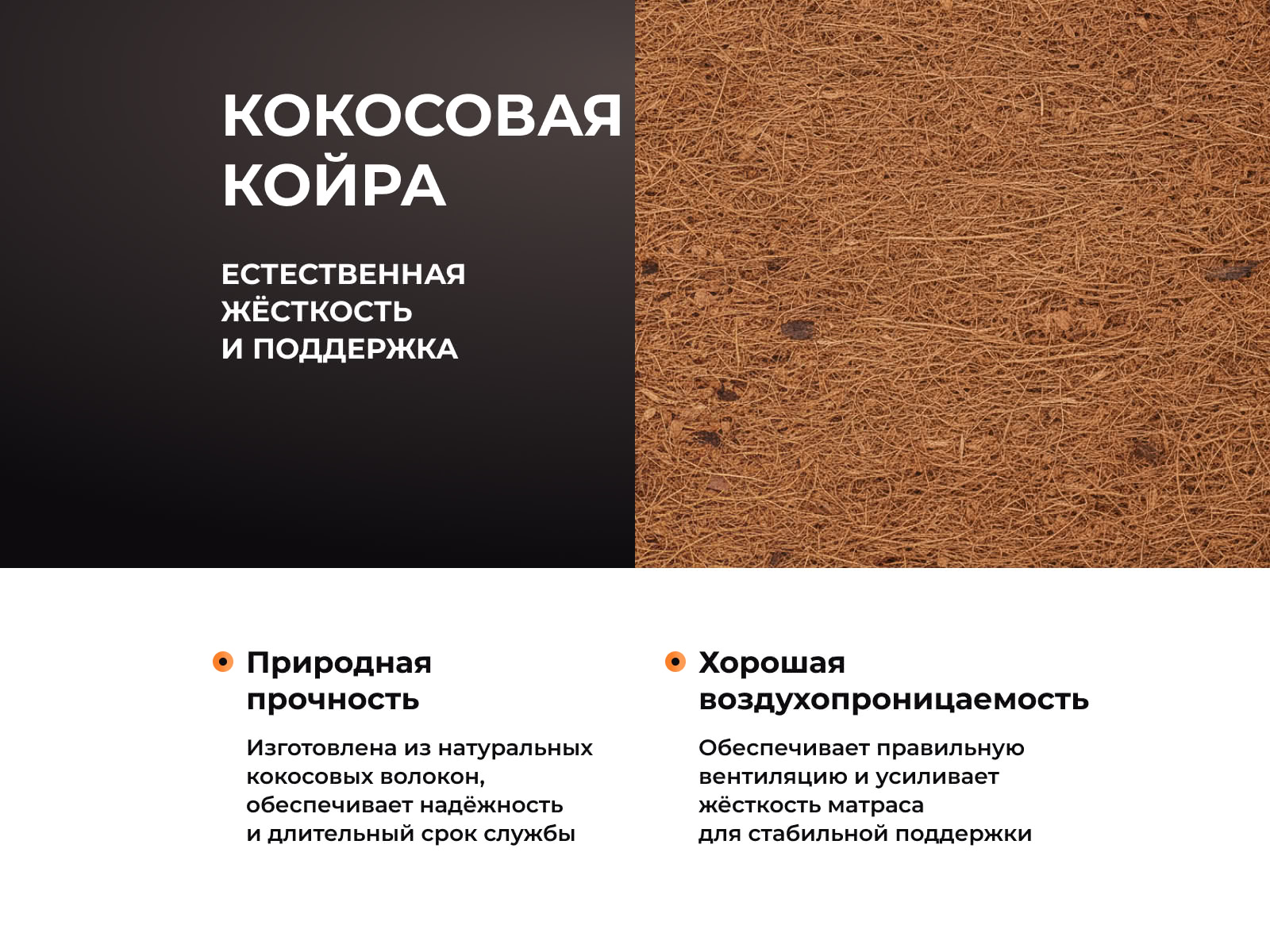 ������ ������� Orto Premium Middle � ����������� ������ � ������ �������: 29 ��.