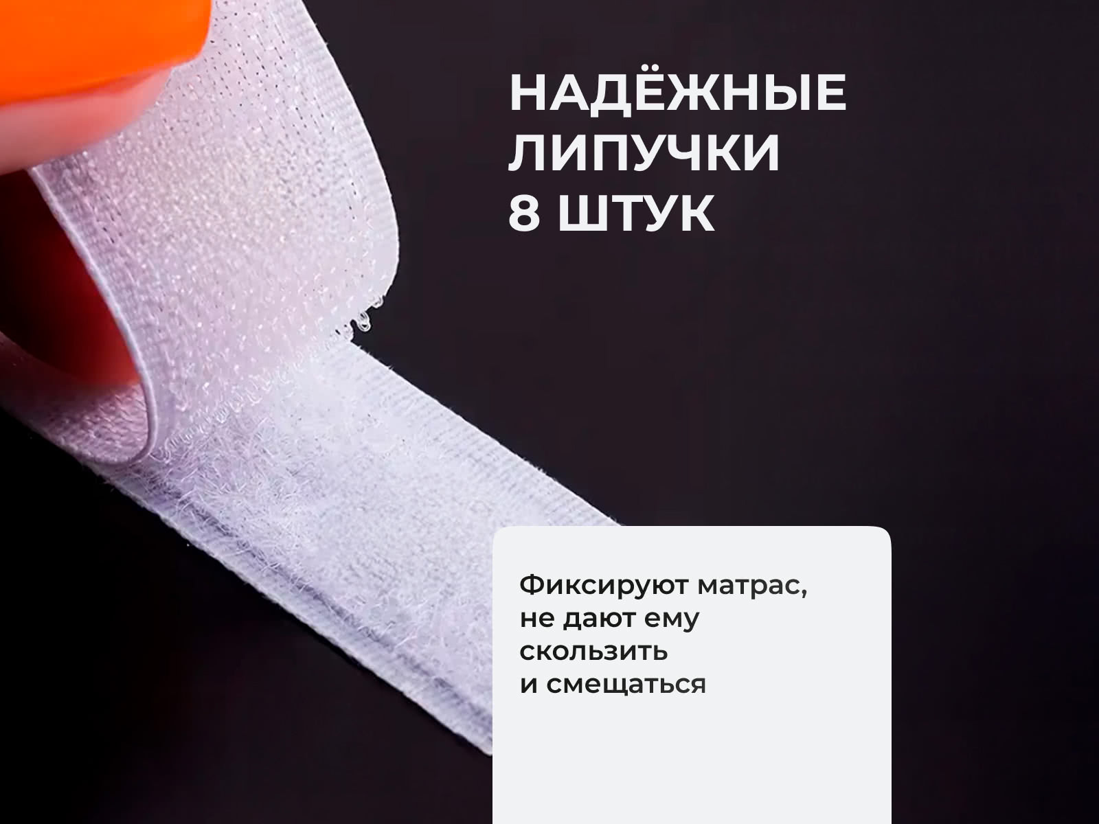 ������ ������� Prima Plus � ���� 16470 �. � � ������