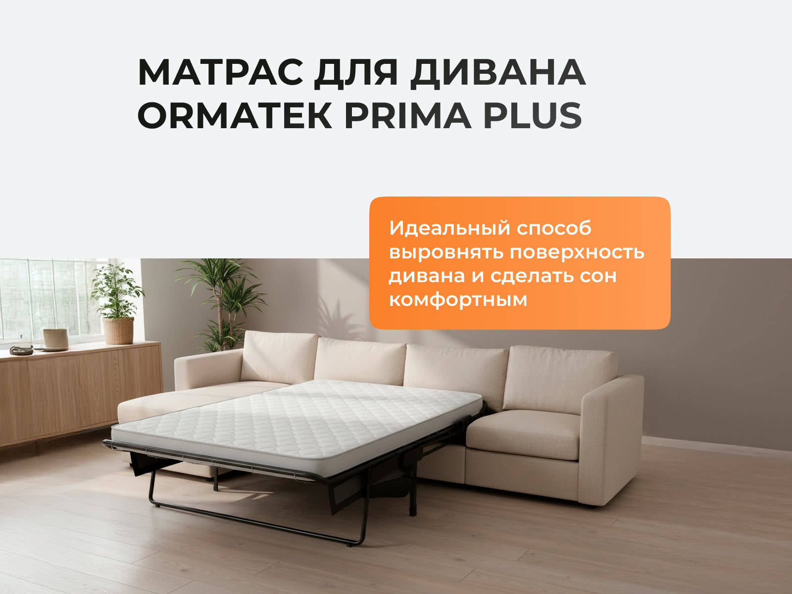 ������� ����� ����