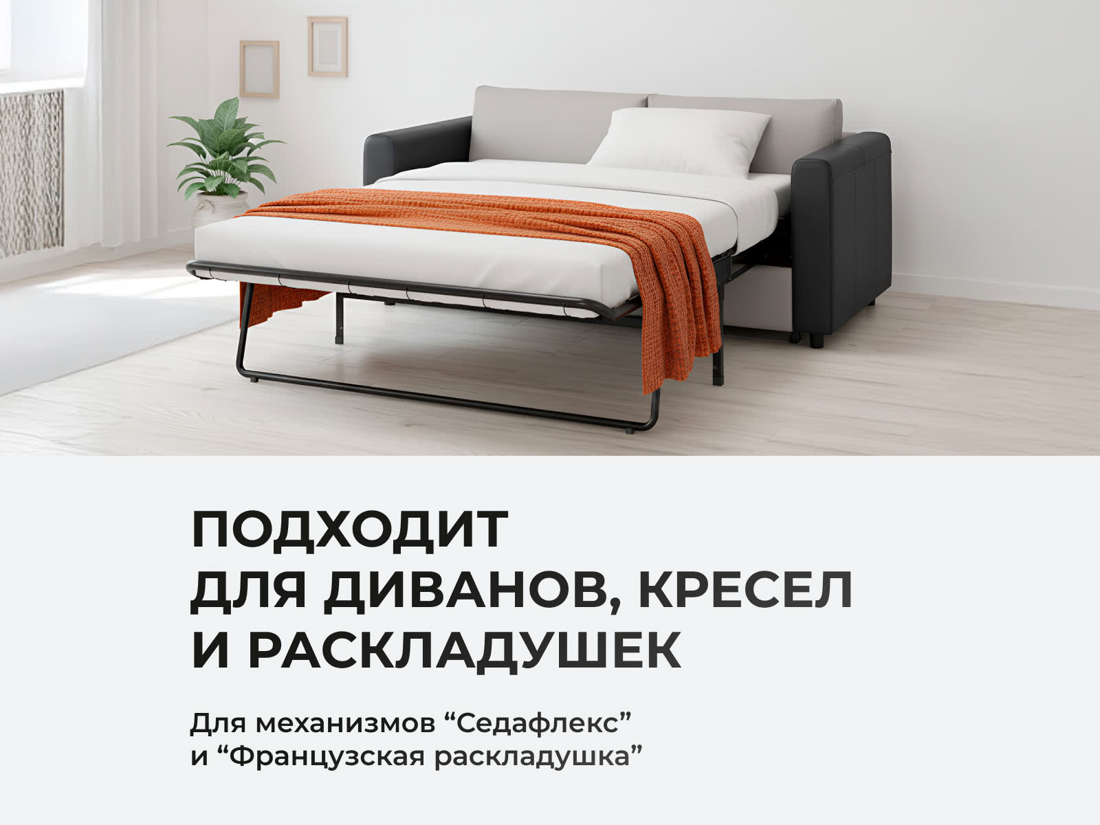 ������ ������� Softy Plus � ���� 7670 �. � ��� ������