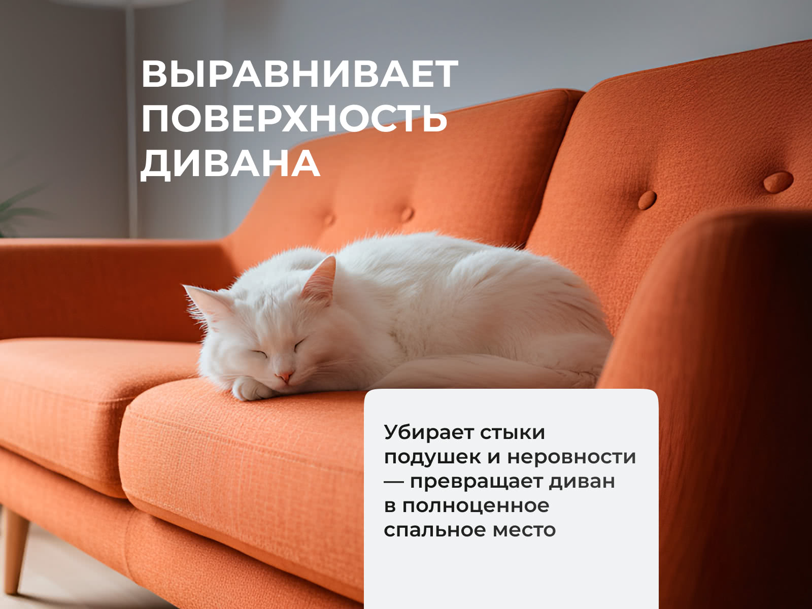 ������ ������� Softy Plus ��������