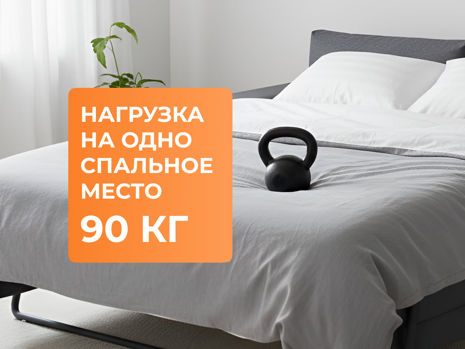 ������ ������� Softy Plus � ������-������� ������