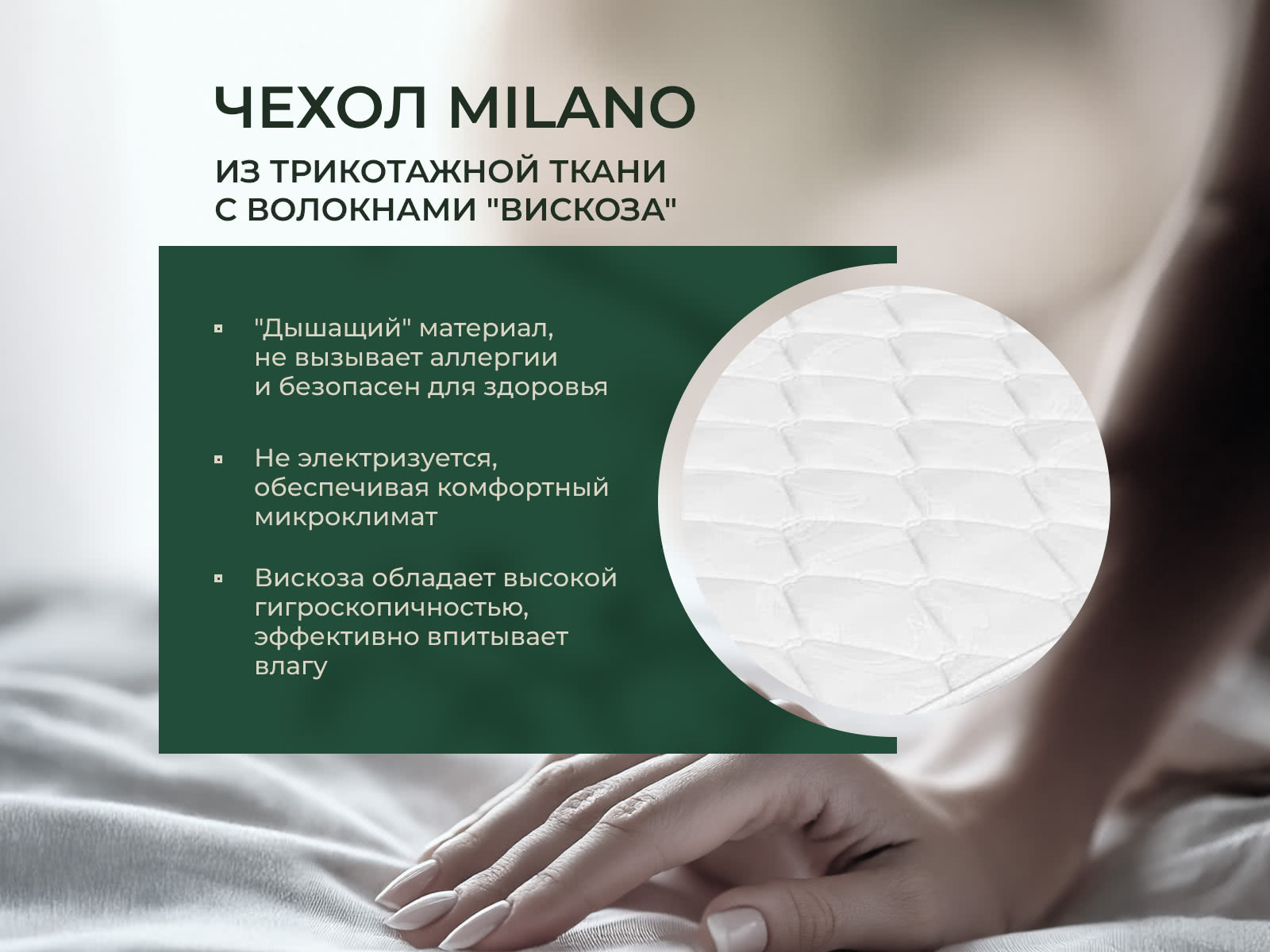 ������ Primavera Amalfi � ������ �������: 21 ��. � ������� � ������