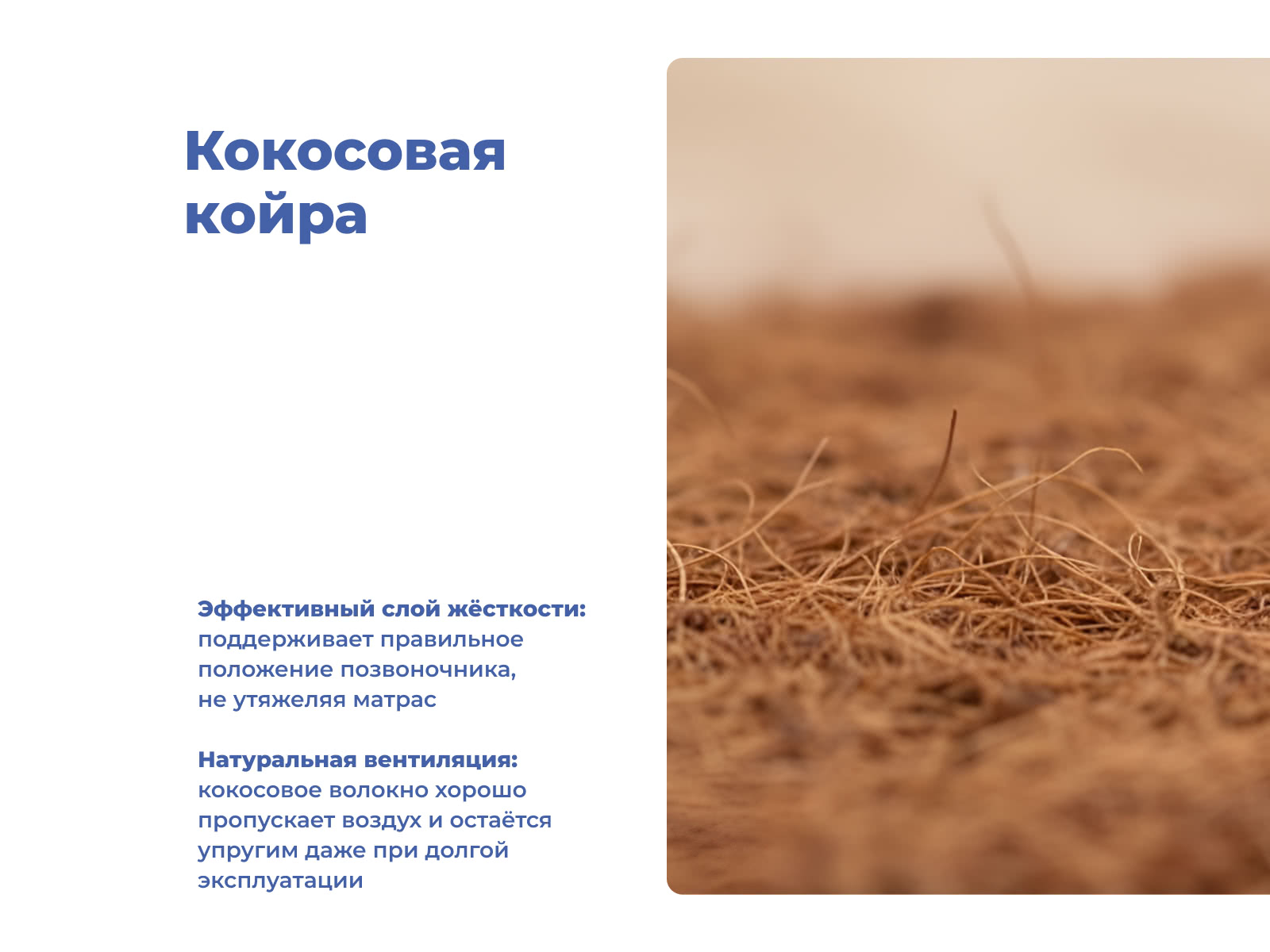 ������ ProSon Base F � ������� ������ � ����������� ��������� ����, 250 ������/�&sup2;