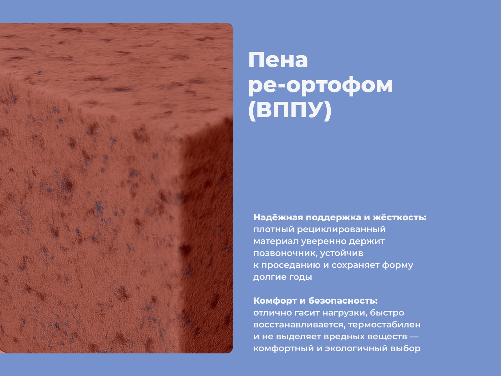 ������ ProSon Base M � ���� 17910 �. � ������������ ��� ������ ������������: 100 ��.