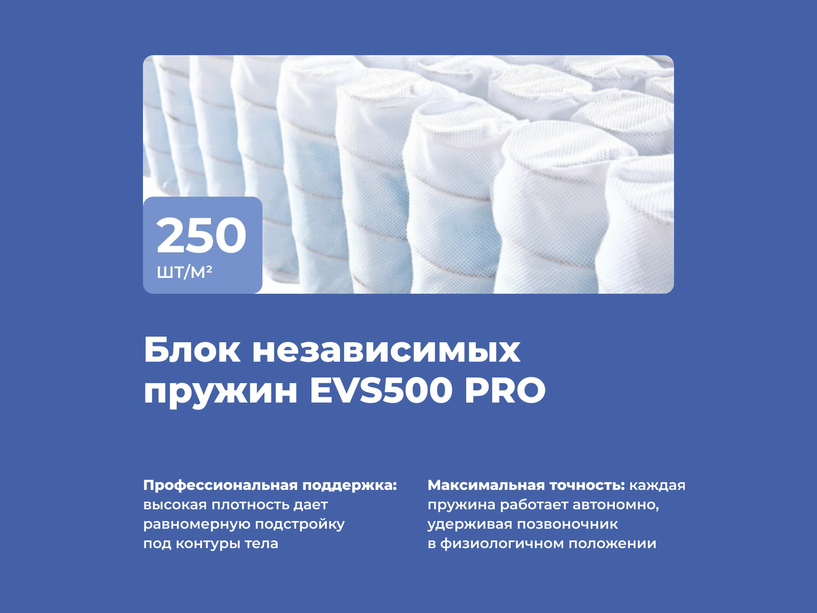 ������ ProSon Base M Roll � ���� 17910 �. � ������ �������: 16 ��.