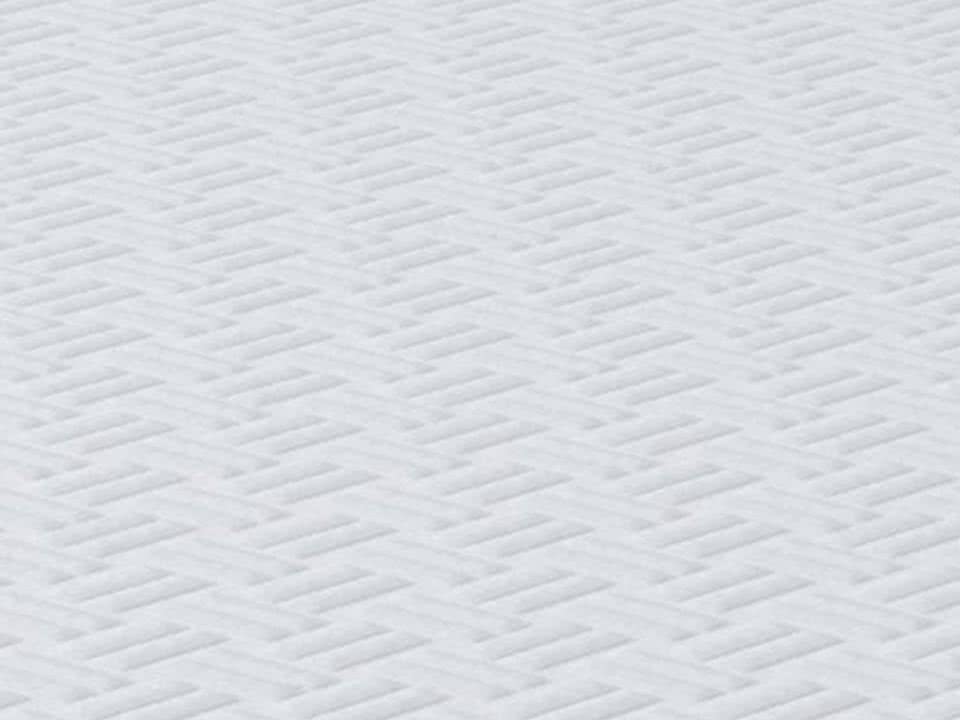 ������ ProSon Elysium Exclusive Foam � [65 x 200 ��] � ��� ������