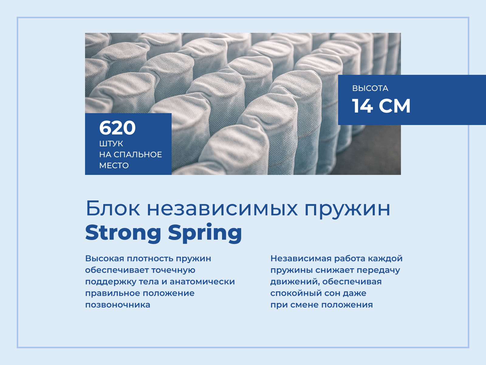 ������ ������ One Base Firm � ���� 28150 �. � ������ �������: 24 ��.